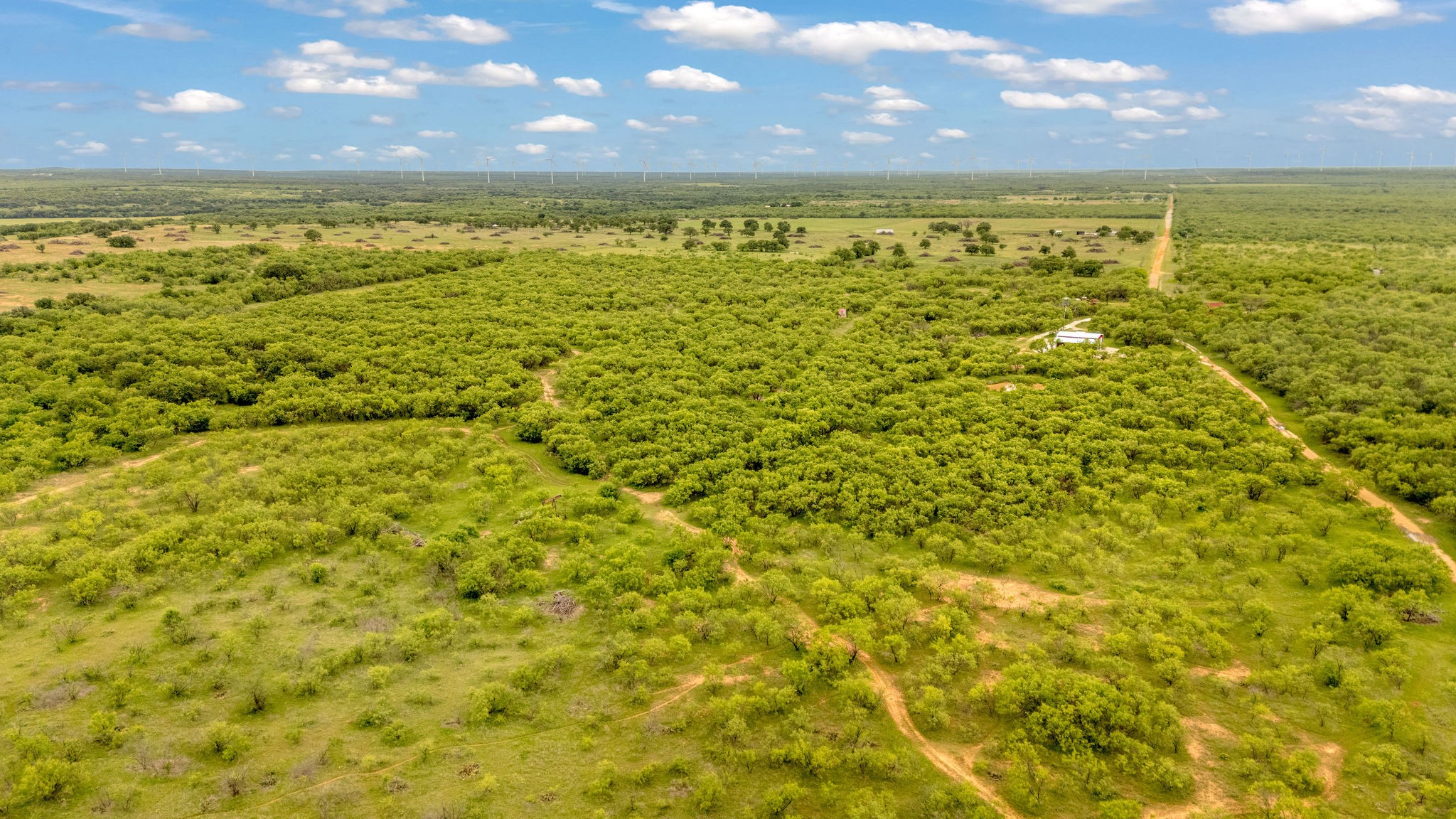 Tbd Cr 133 Moran TX 76464