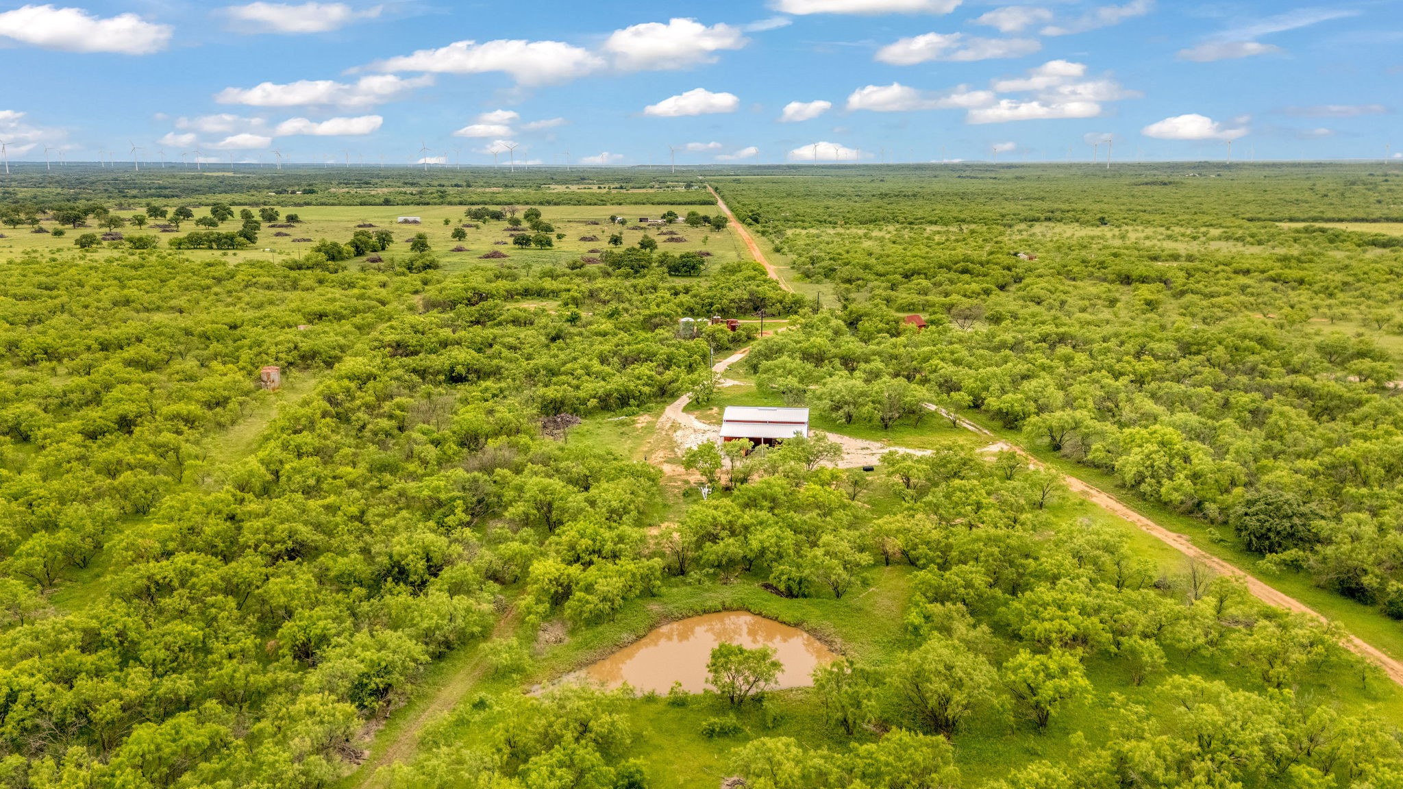 Tbd Cr 133 Moran TX 76464
