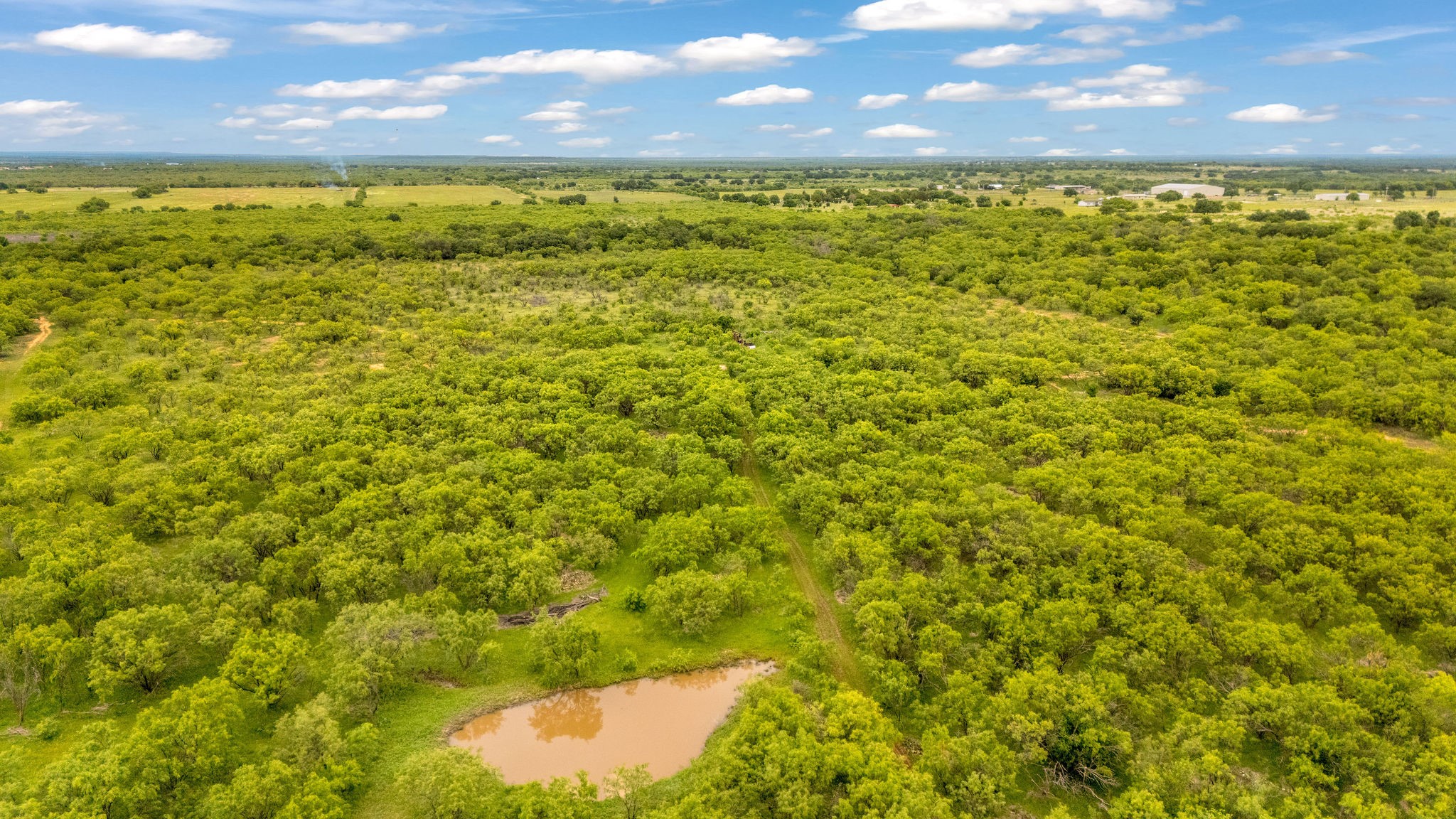 Tbd Cr 133 Moran TX 76464