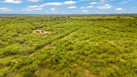 Tbd Cr 133 Moran TX 76464