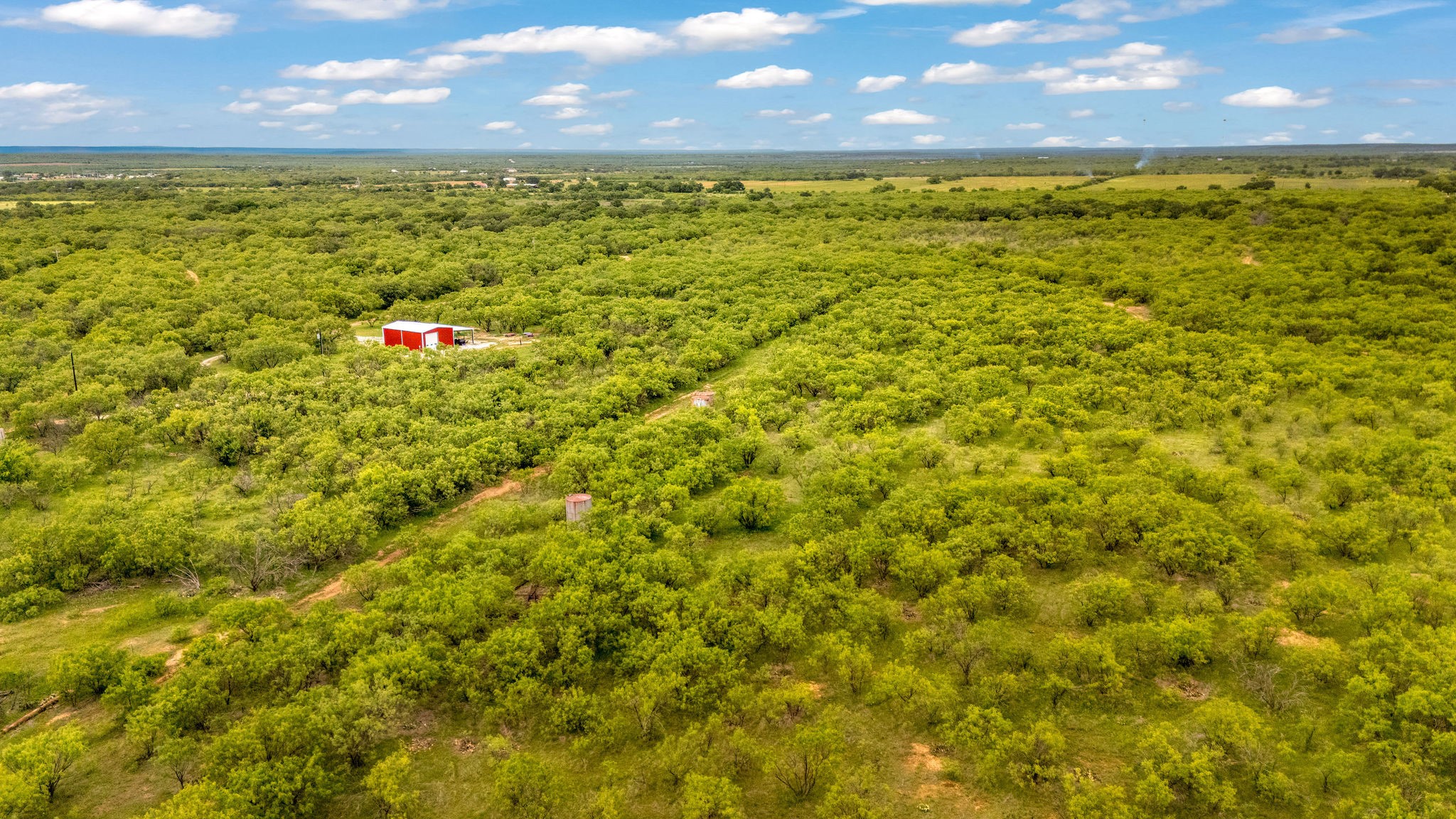Tbd Cr 133 Moran TX 76464