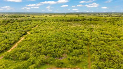 Tbd Cr 133 Moran TX 76464