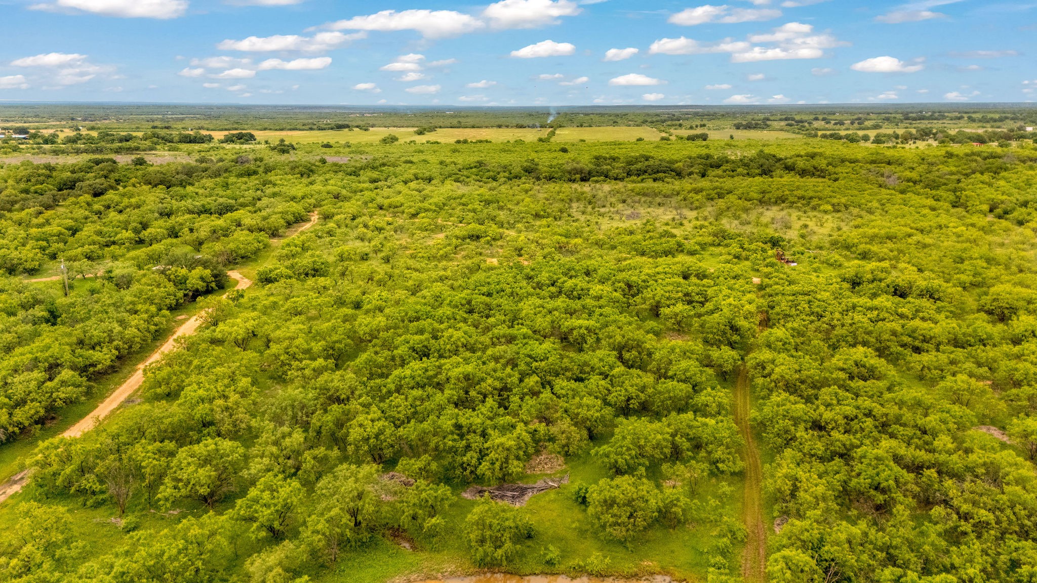 Tbd Cr 133 Moran TX 76464