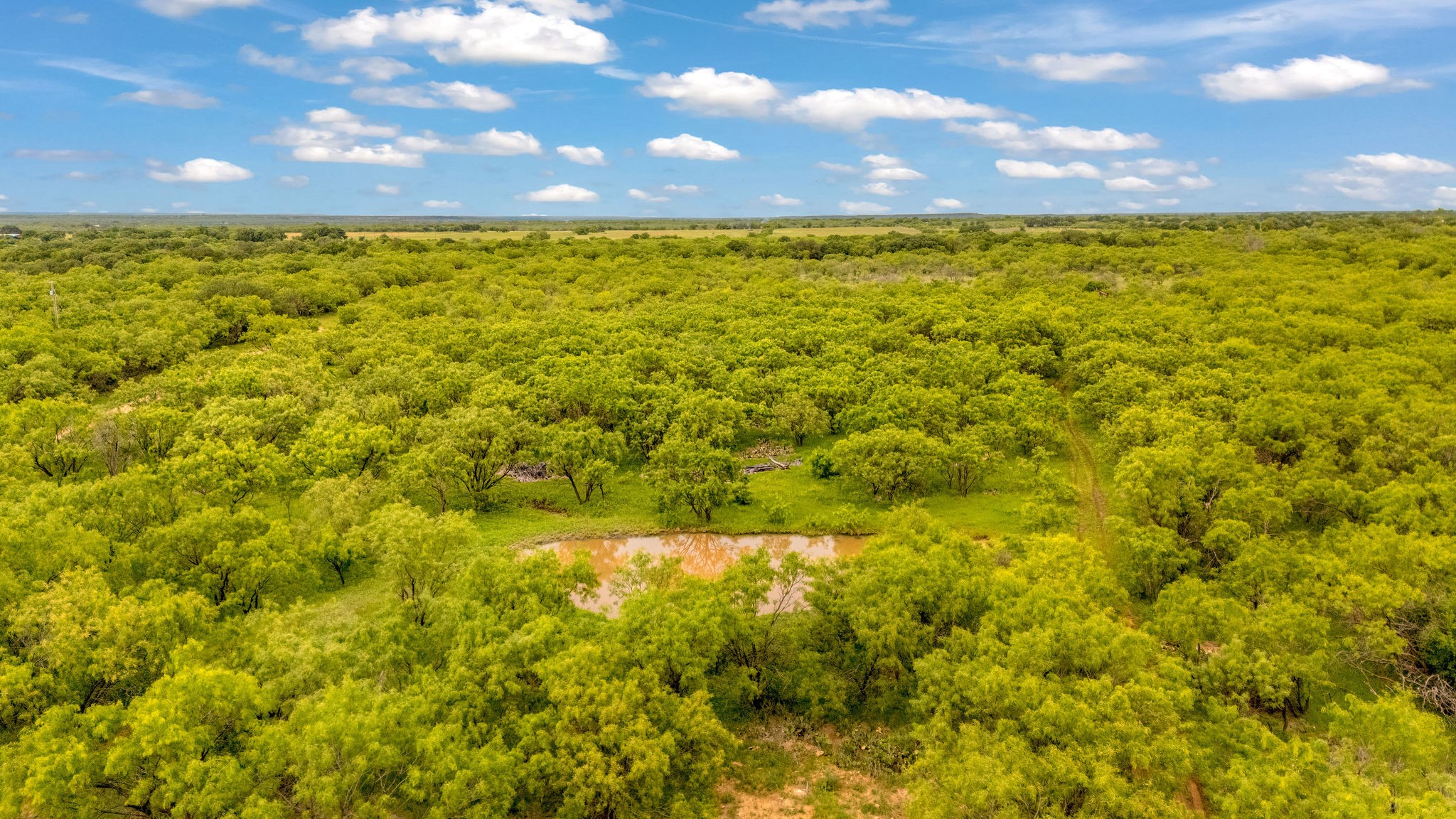Tbd Cr 133 Moran TX 76464
