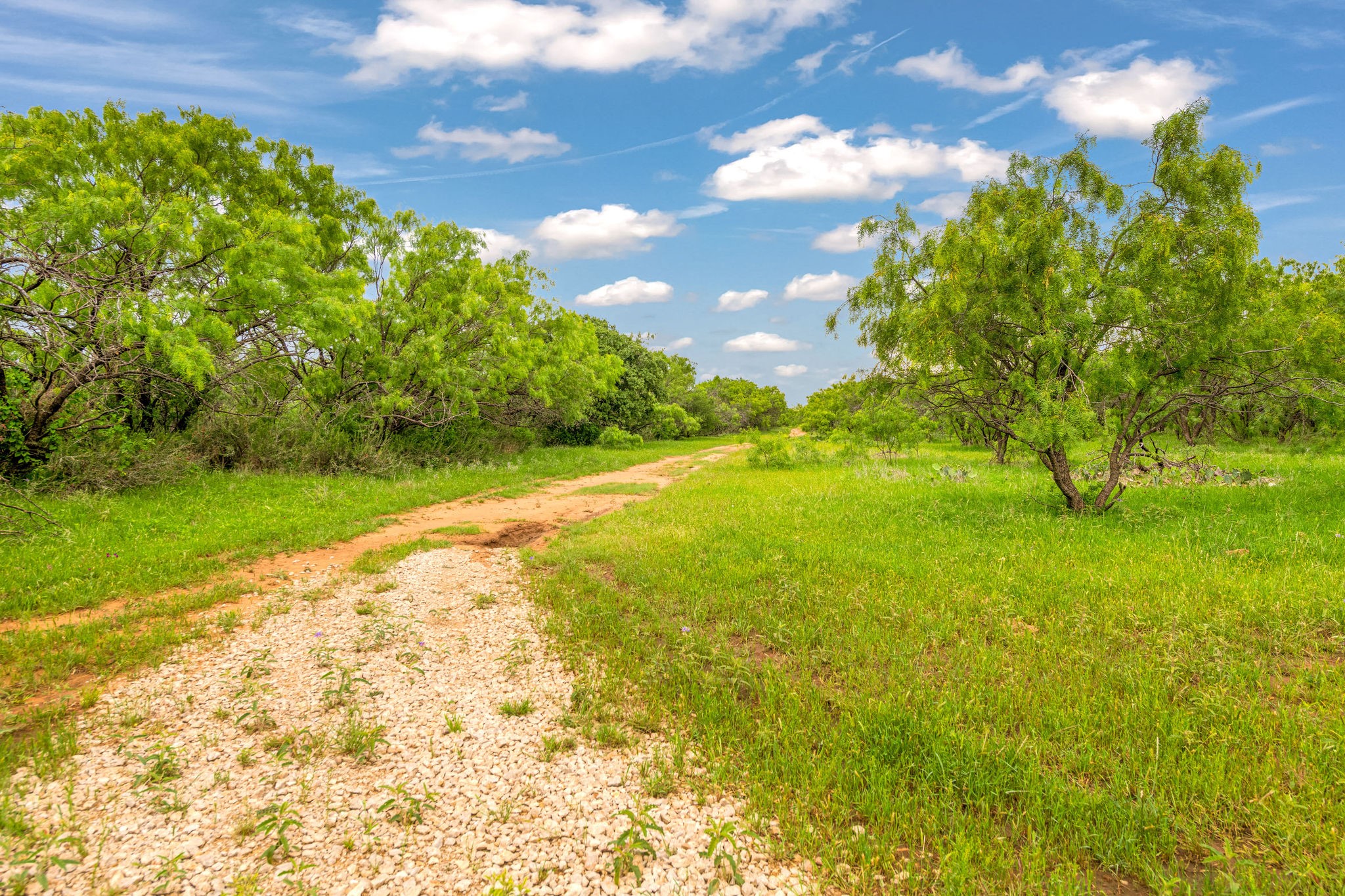 Tbd Cr 133 Moran TX 76464