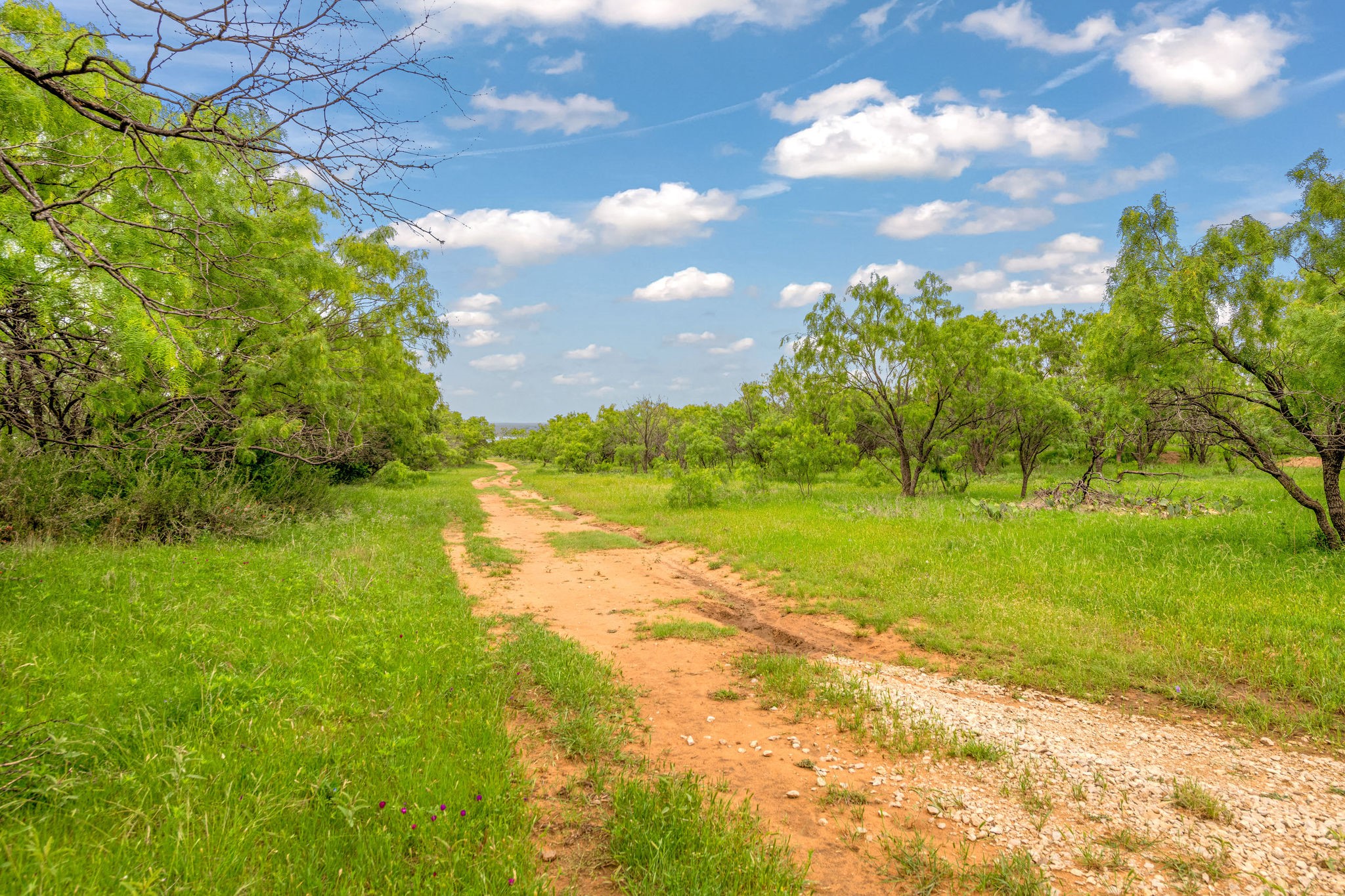 Tbd Cr 133 Moran TX 76464