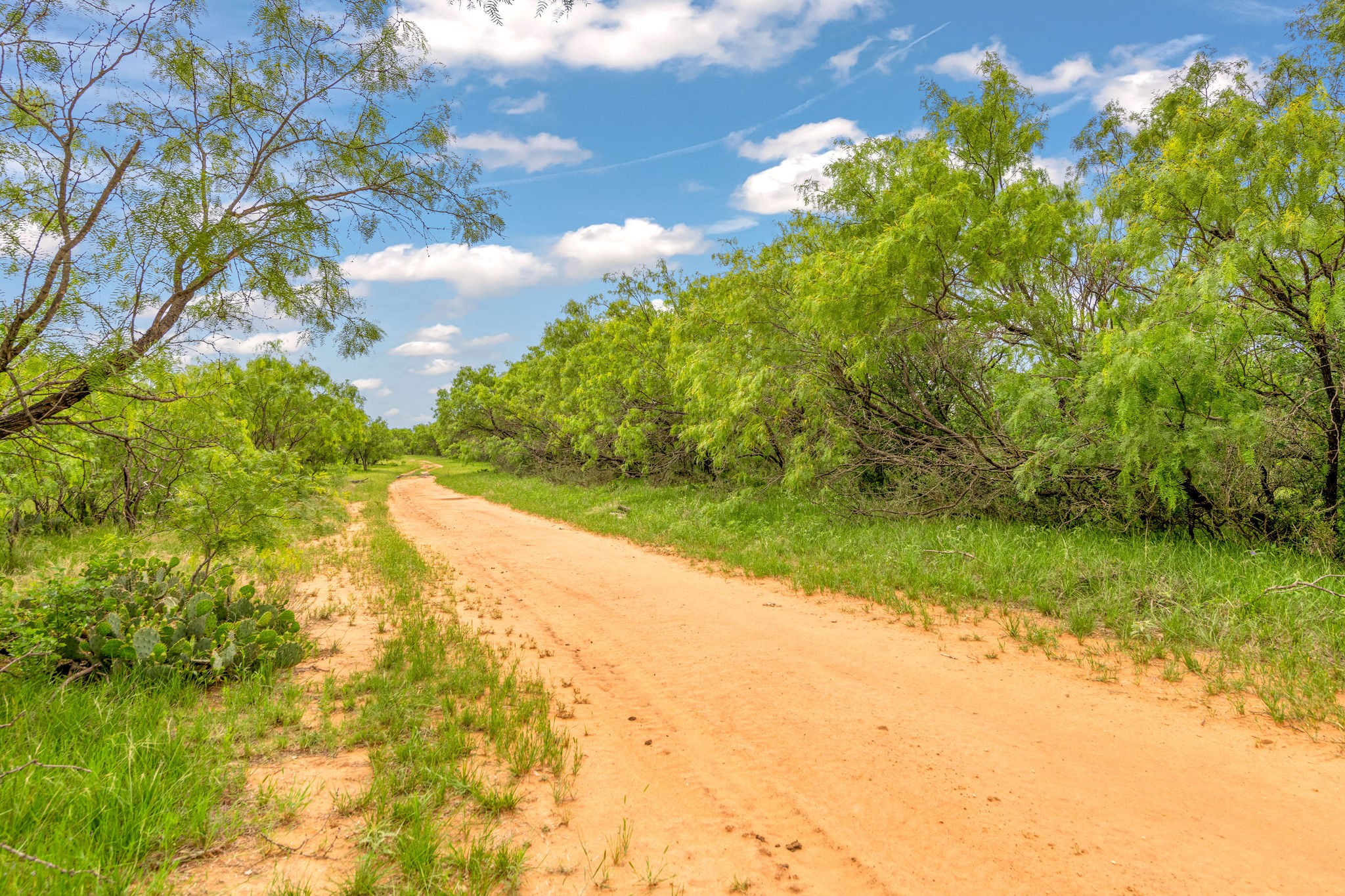 Tbd Cr 133 Moran TX 76464