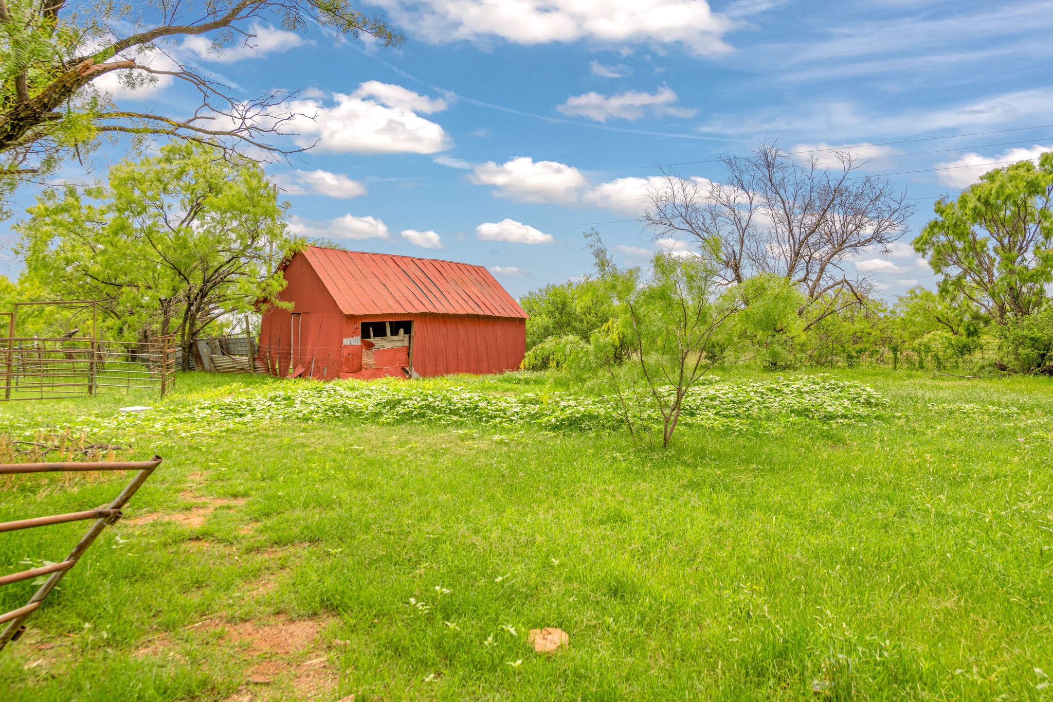 Tbd Cr 133 Moran TX 76464