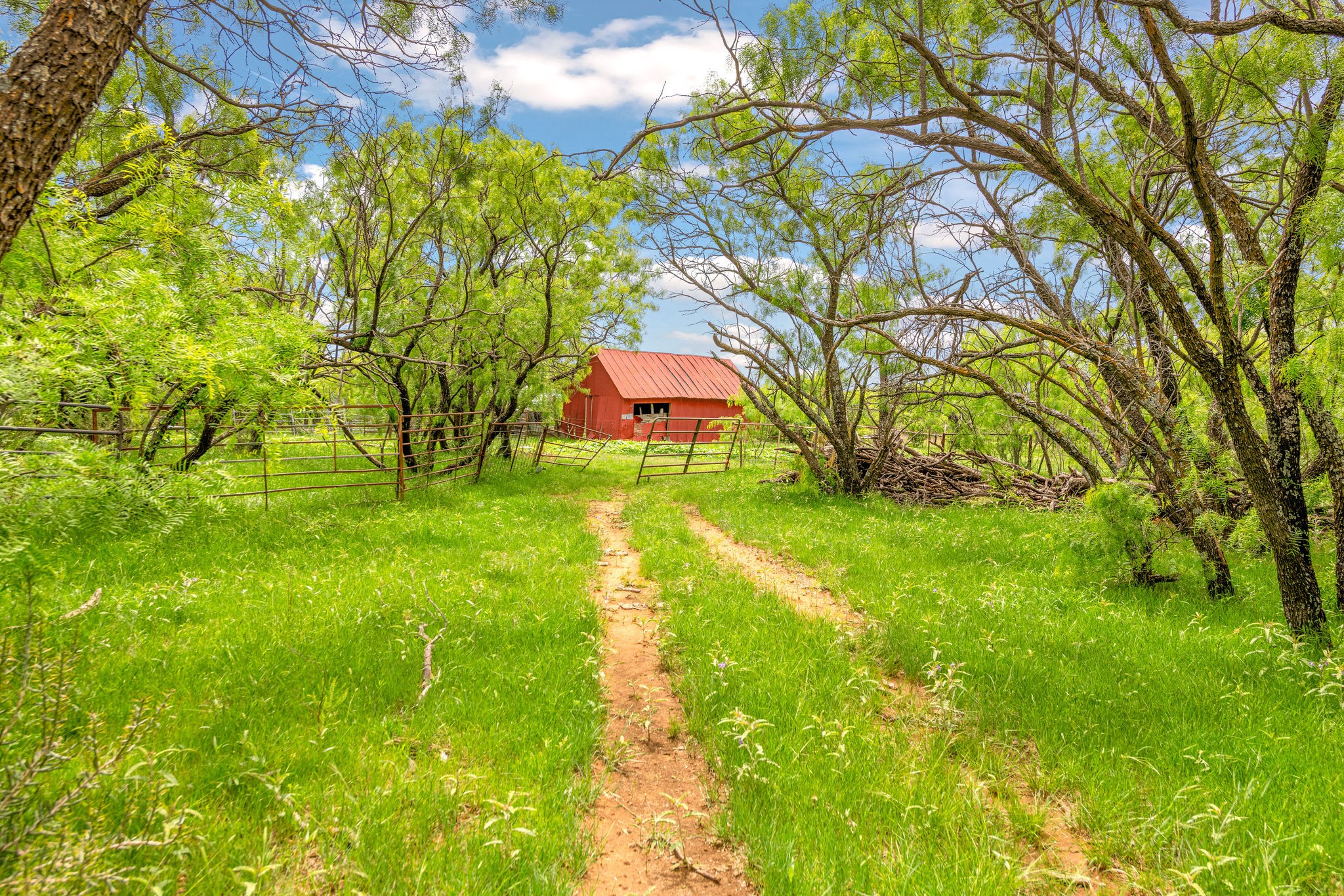 Tbd Cr 133 Moran TX 76464
