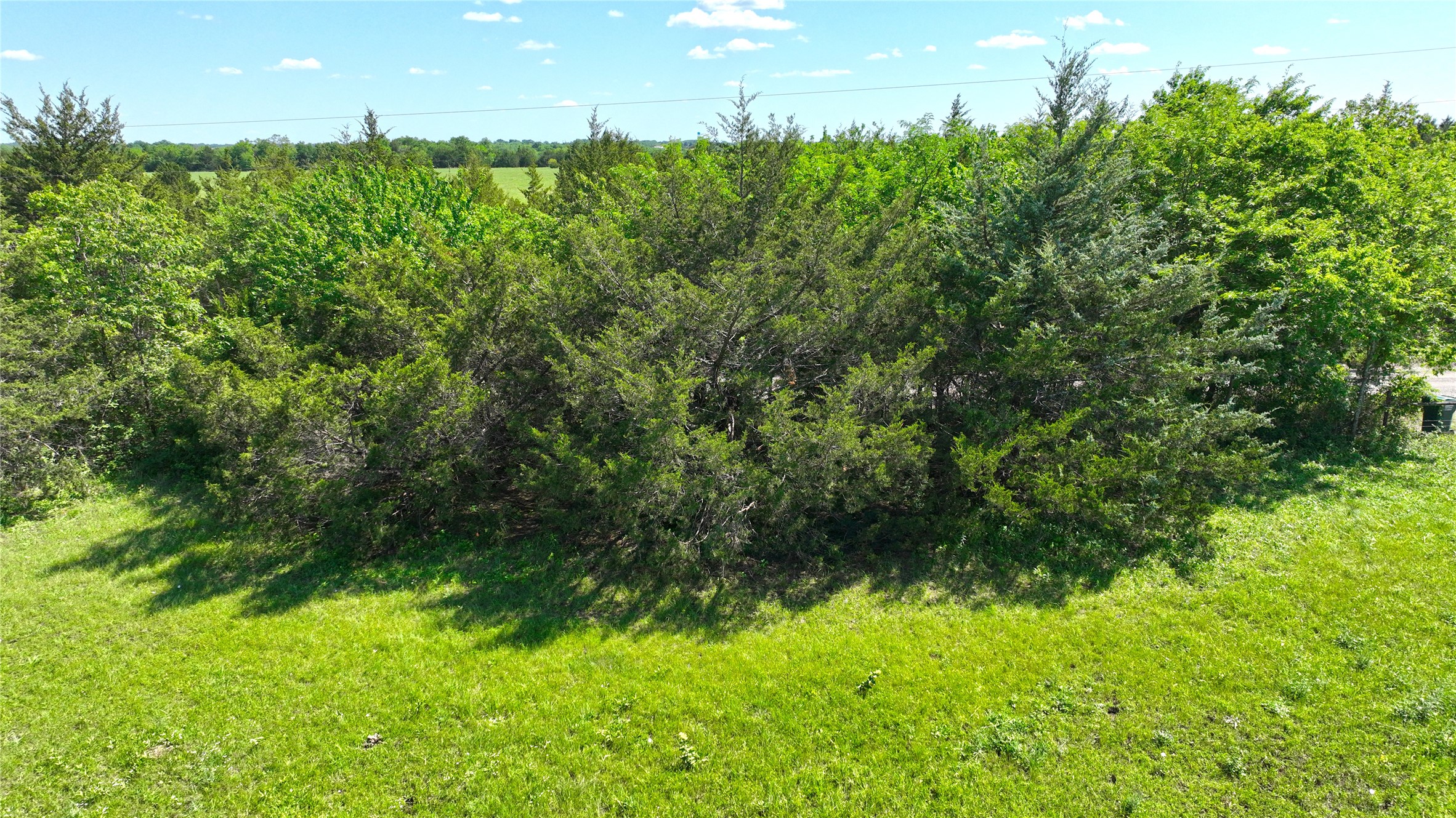 Tbd County Road 4535 Trenton TX 75490