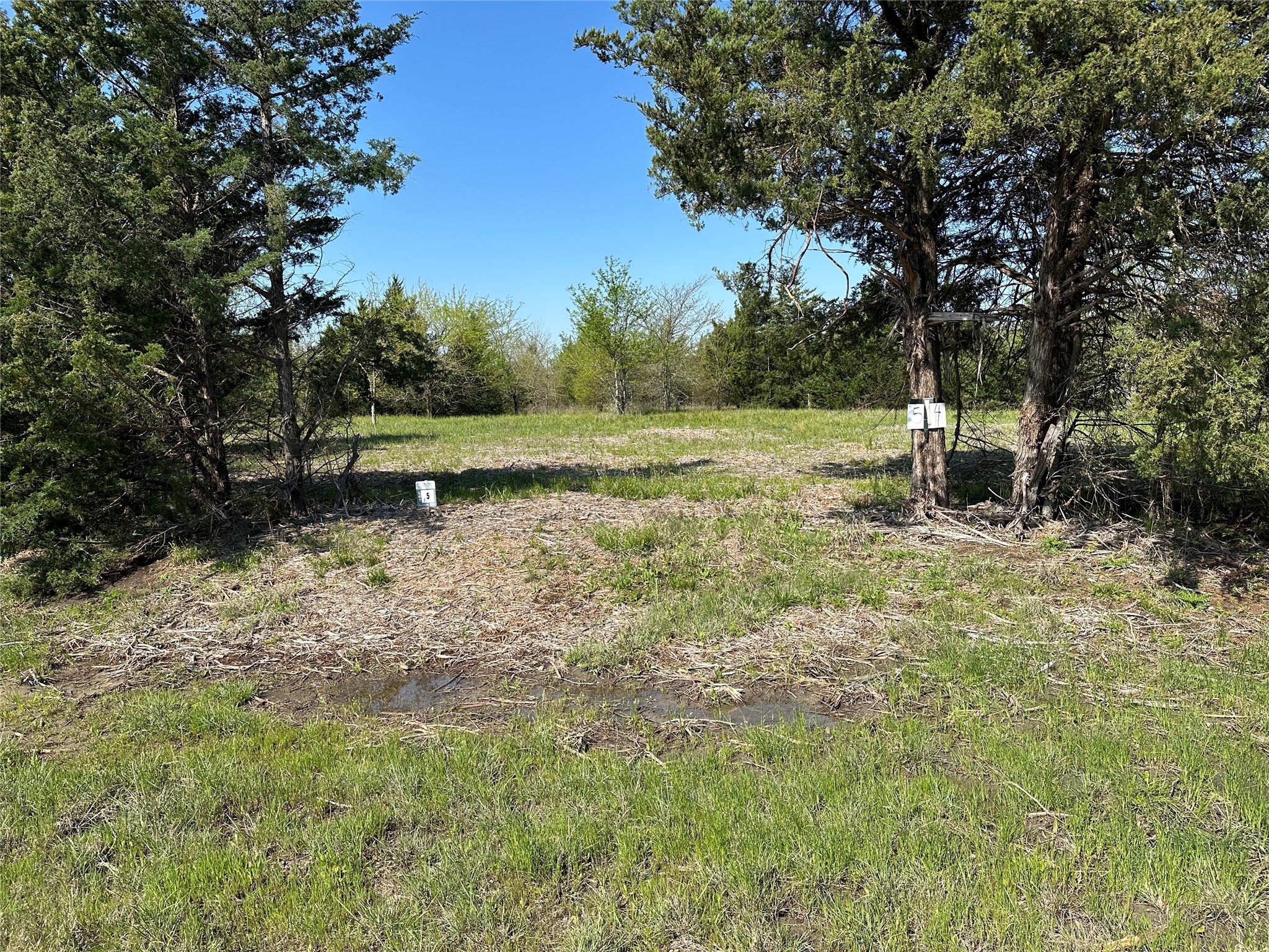 Tract 5 Farm To Market 1743 Honey Grove TX 75446