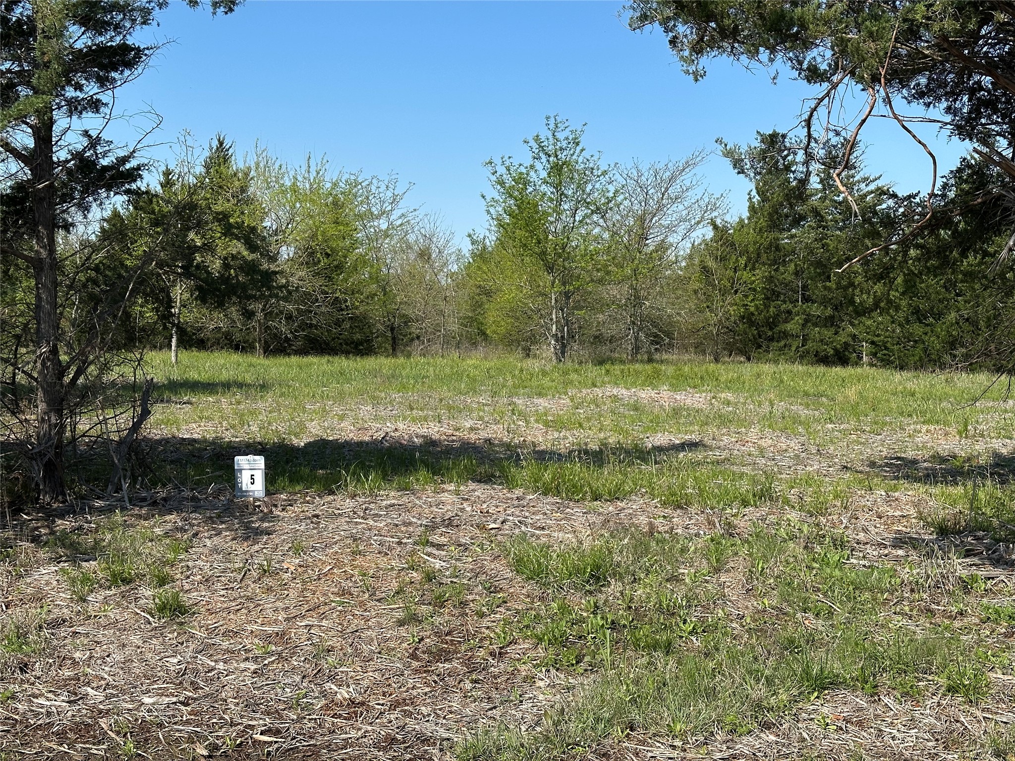 Tract 5 Farm To Market 1743 Honey Grove TX 75446