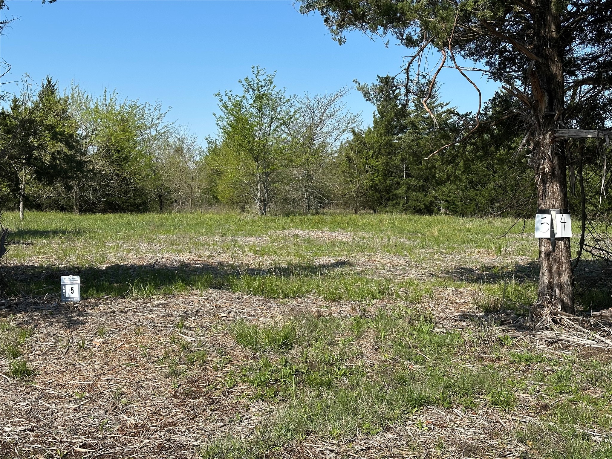 Tract 5 Farm To Market 1743 Honey Grove TX 75446