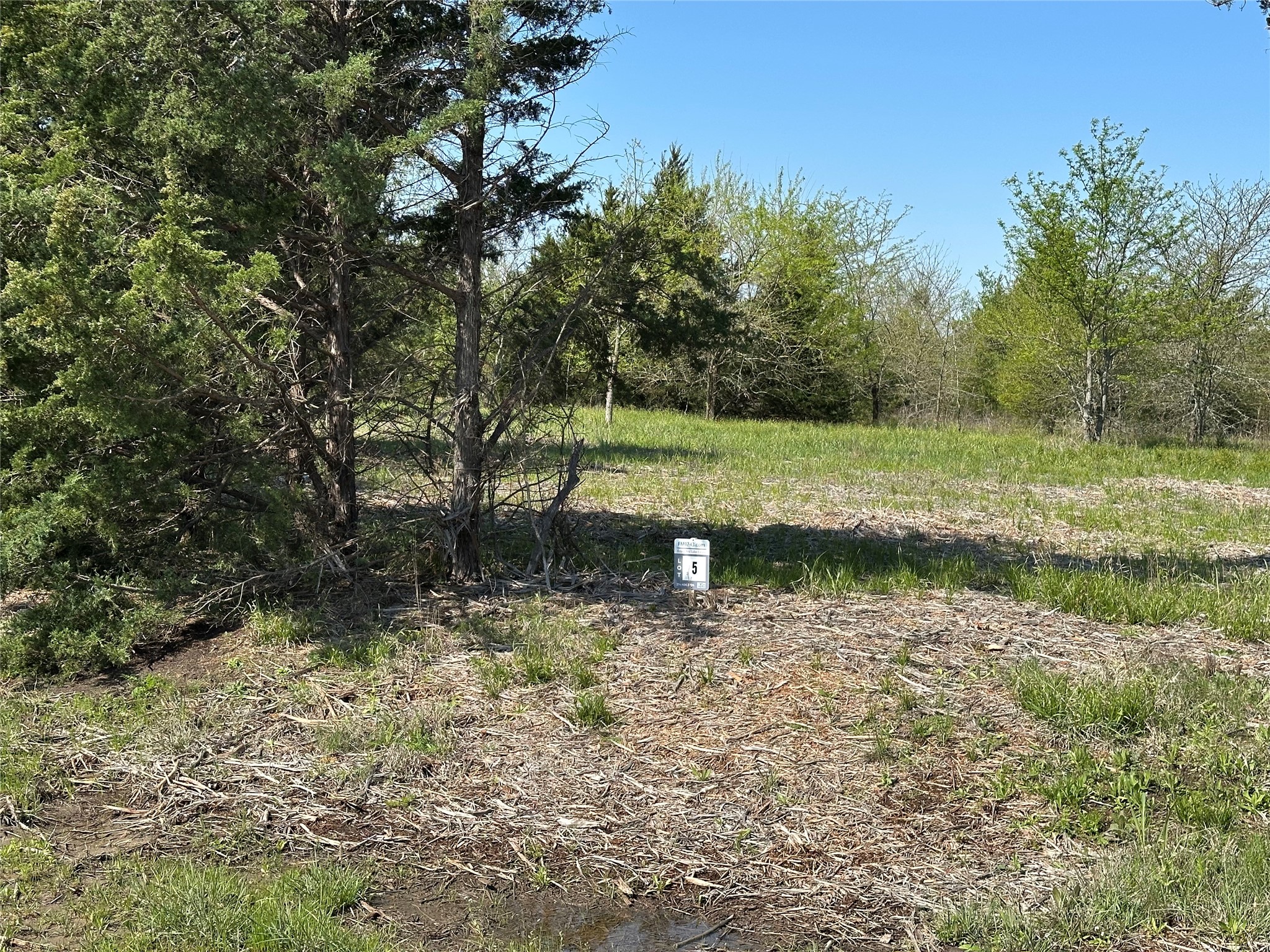 Tract 5 Farm To Market 1743 Honey Grove TX 75446