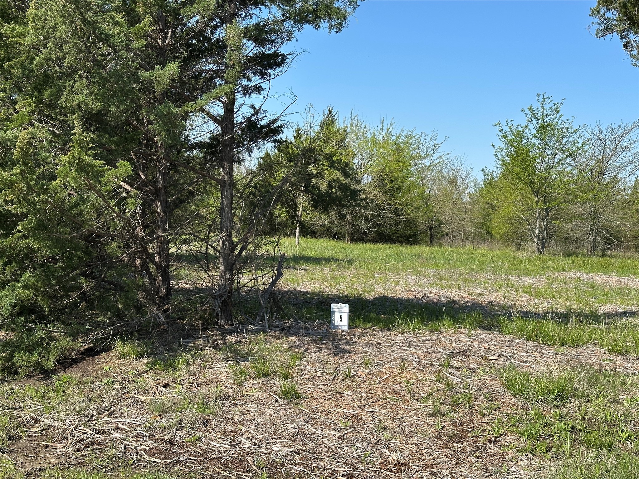Tract 5 Farm To Market 1743 Honey Grove TX 75446