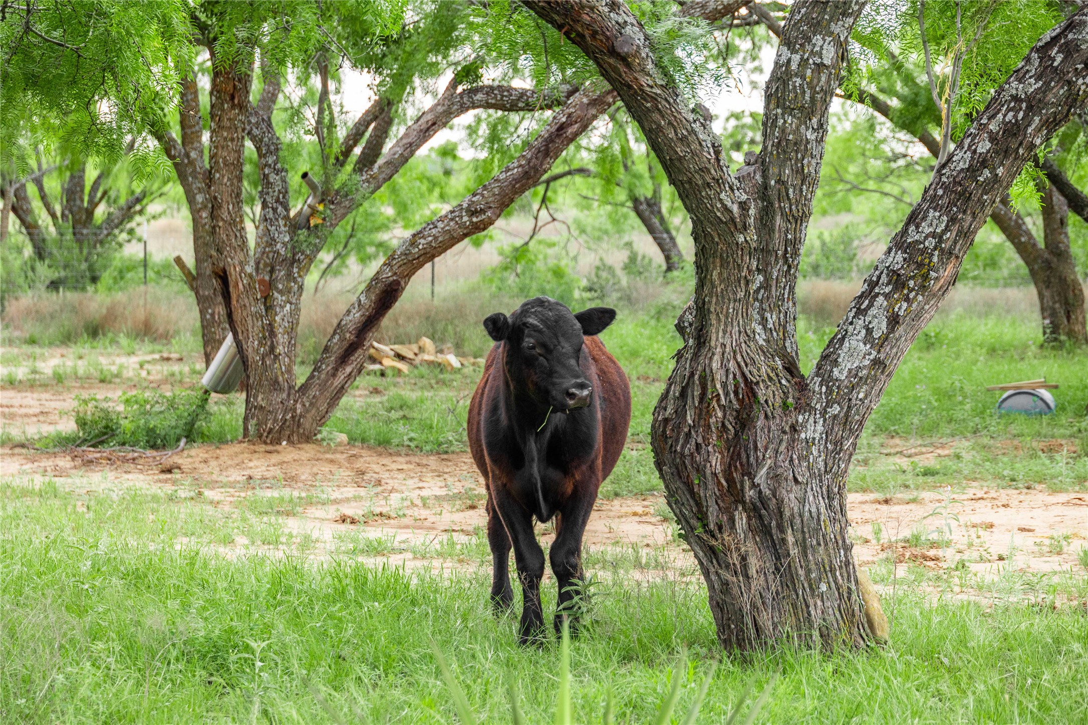 5088 Us-67 Brownwood TX 76801
