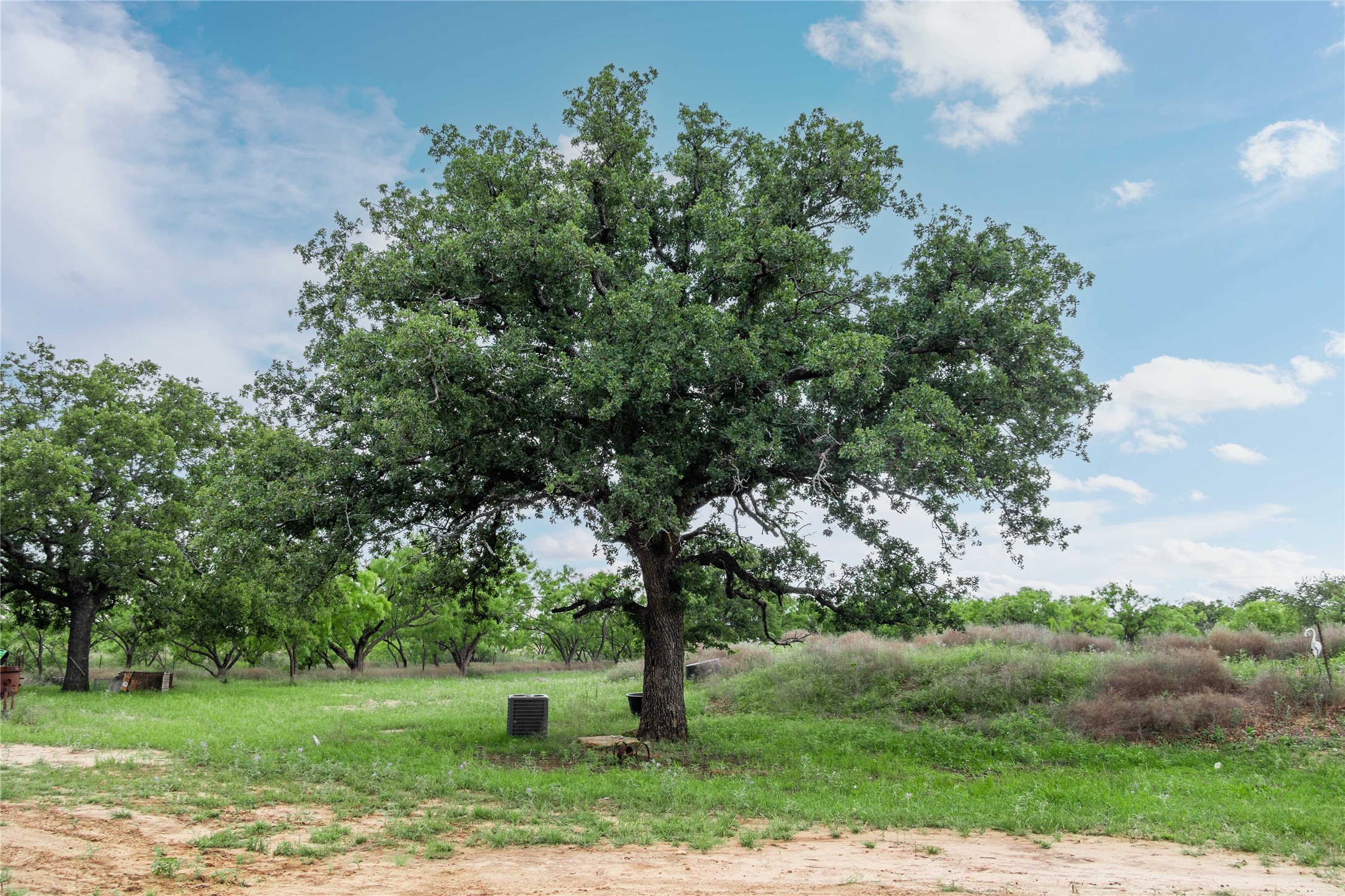 5088 Us-67 Brownwood TX 76801