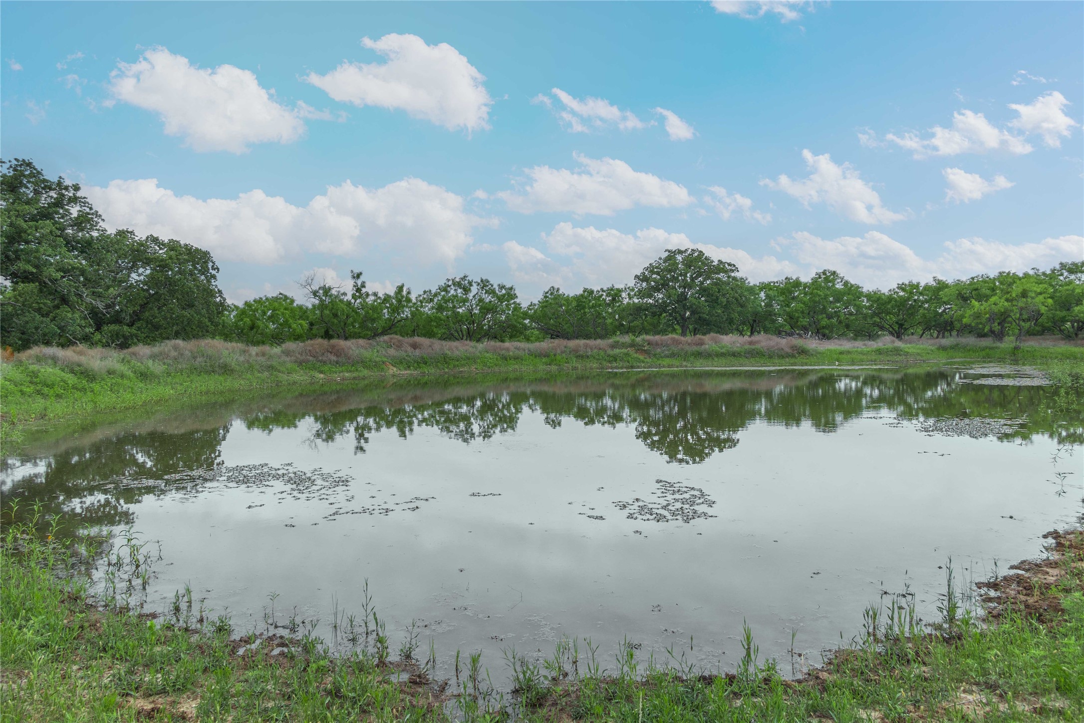 5088 Us-67 Brownwood TX 76801