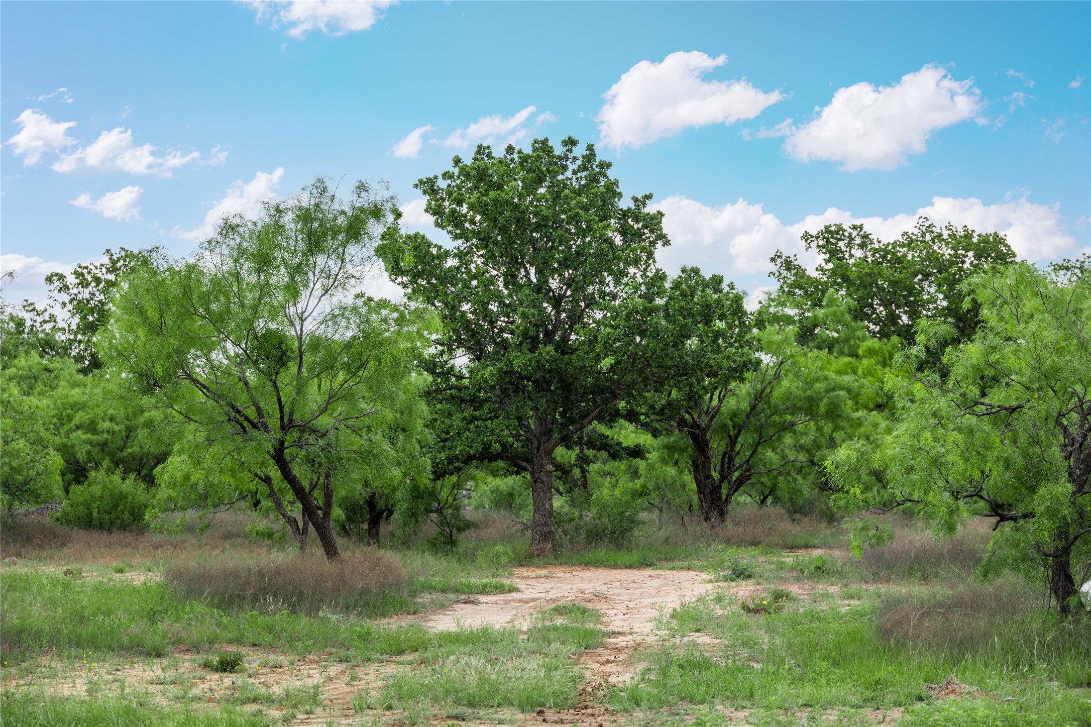 5088 Us-67 Brownwood TX 76801