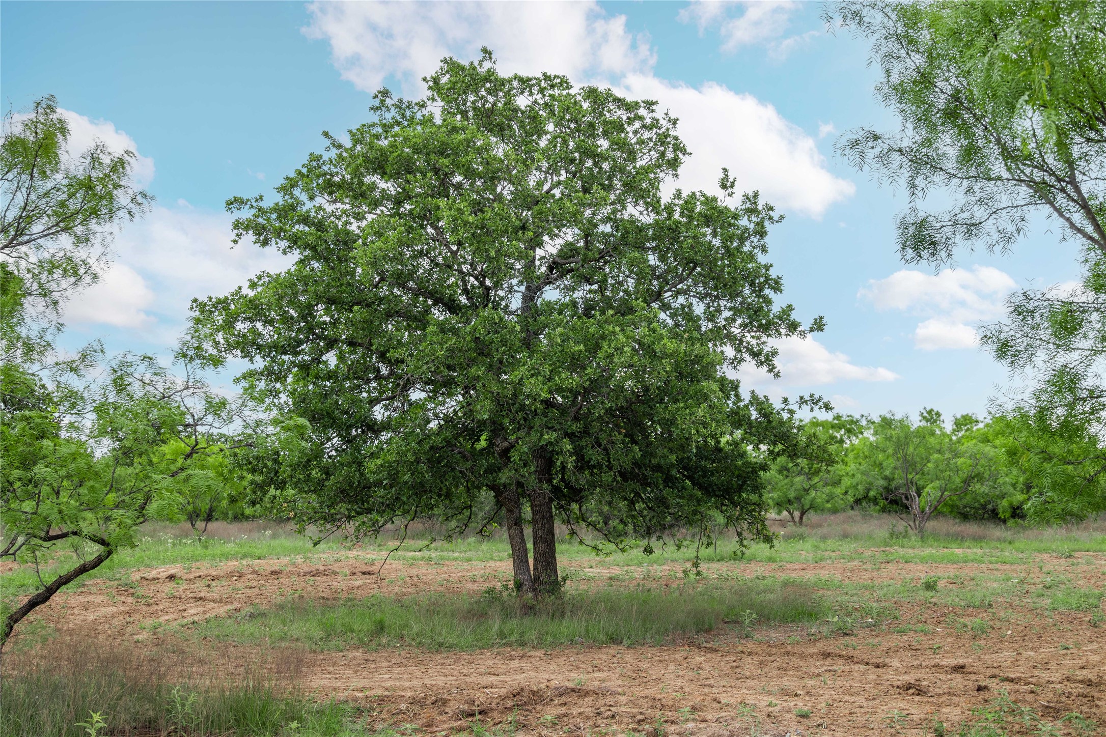5088 Us-67 Brownwood TX 76801