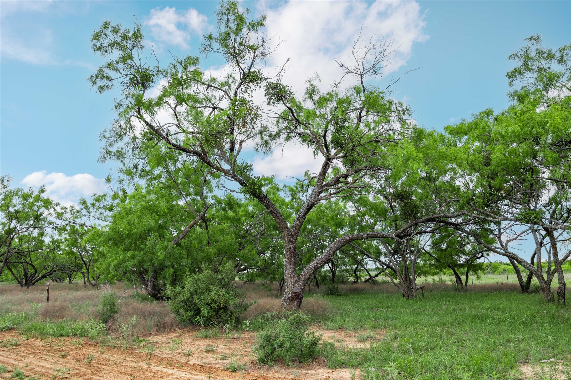 5088 Us-67 Brownwood TX 76801