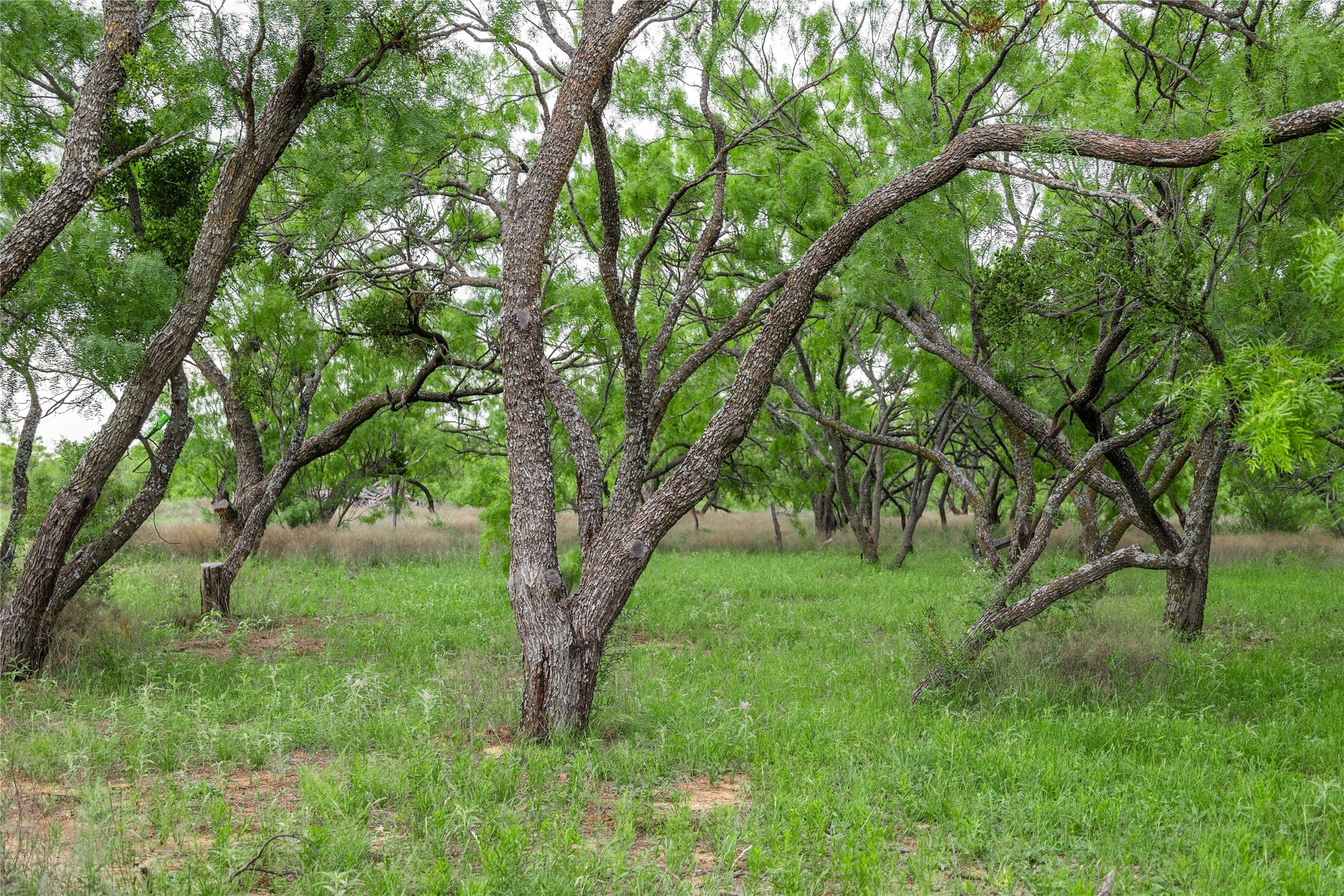 5088 Us-67 Brownwood TX 76801