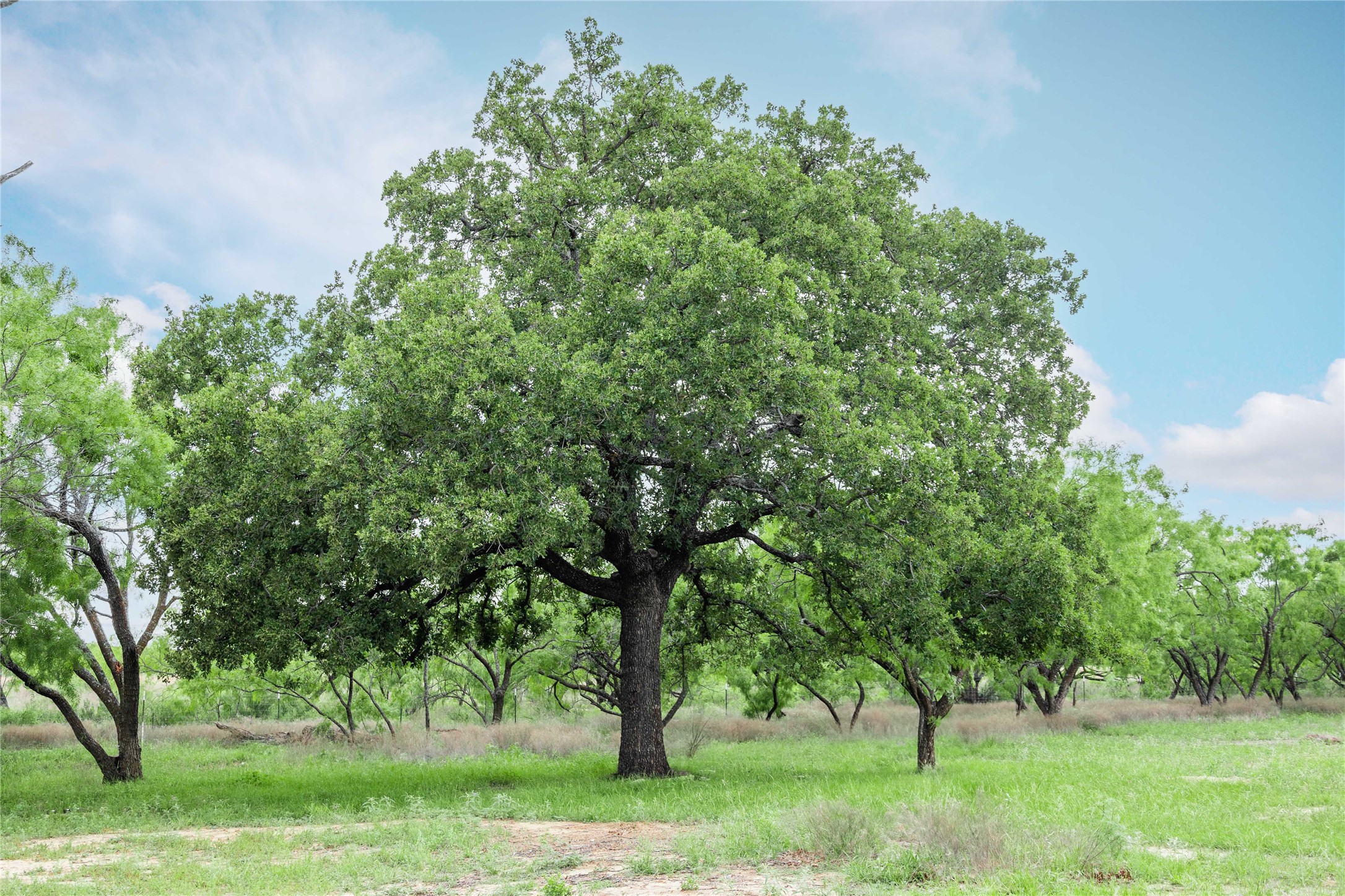 5088 Us-67 Brownwood TX 76801