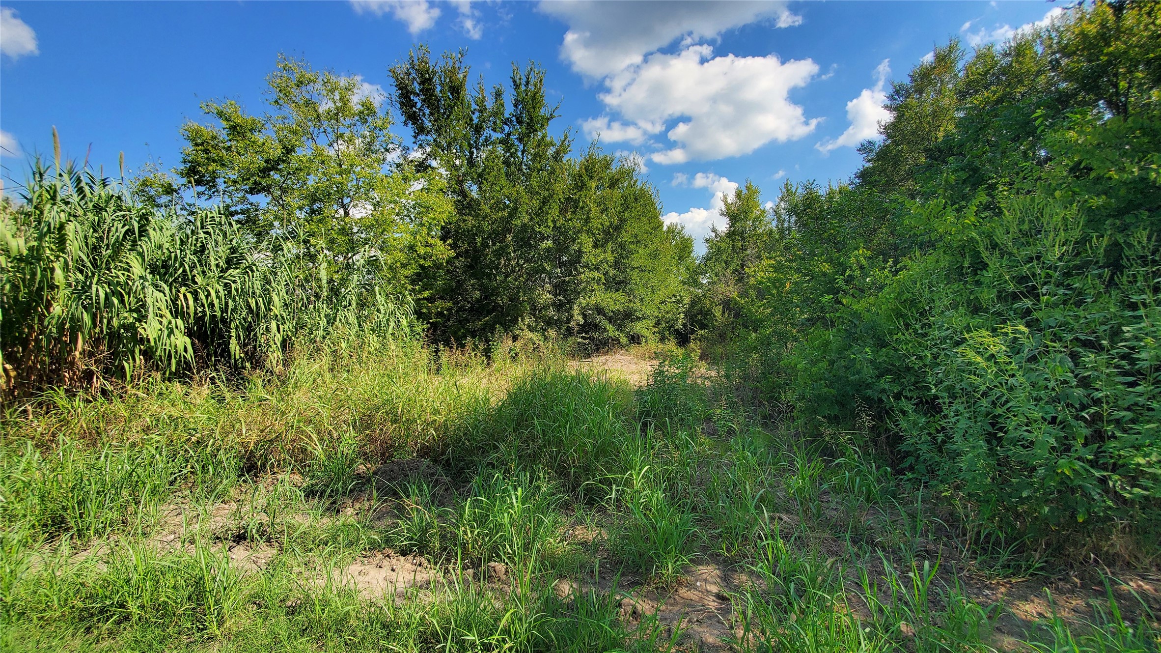 0 Cr 4070 Kerens TX 75144