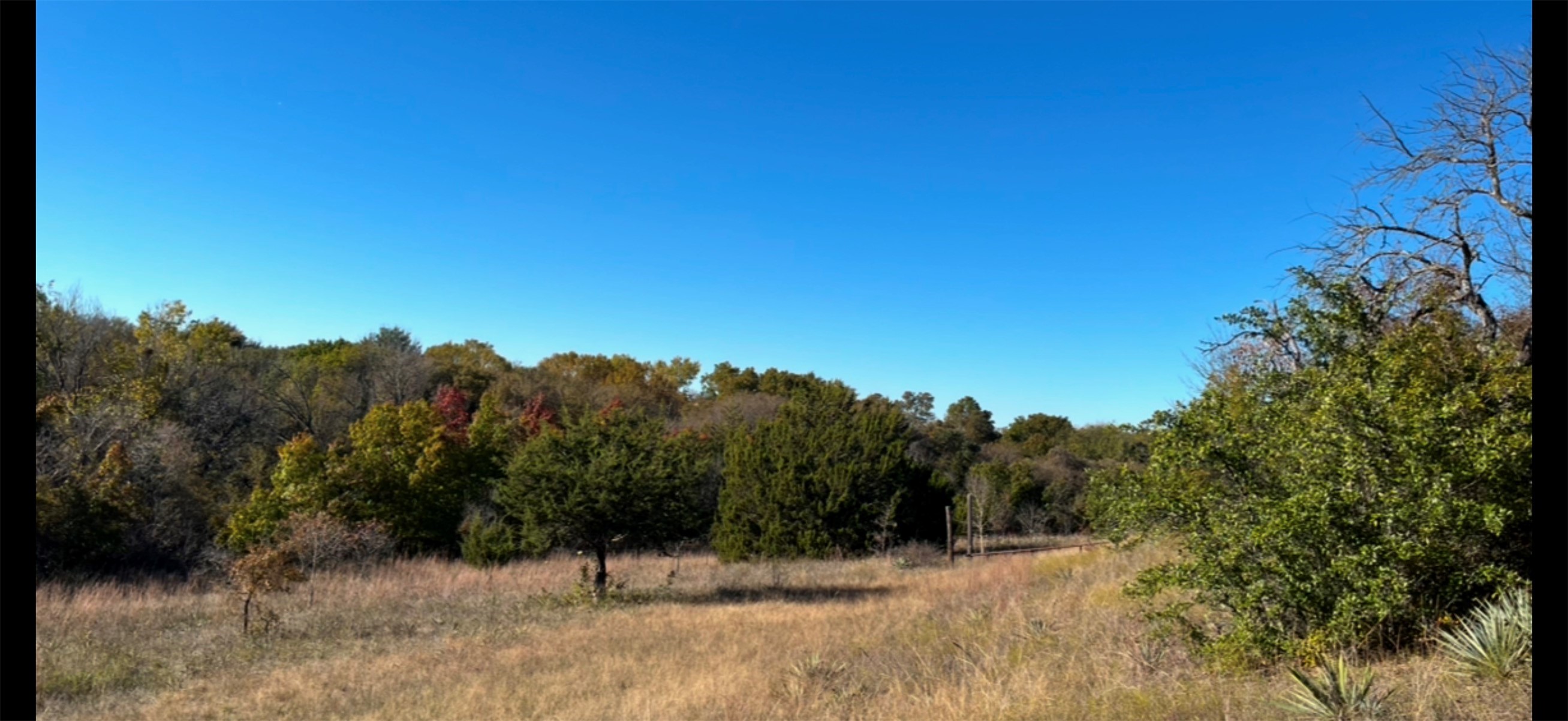 142 Mulligan Lane Azle TX 76020