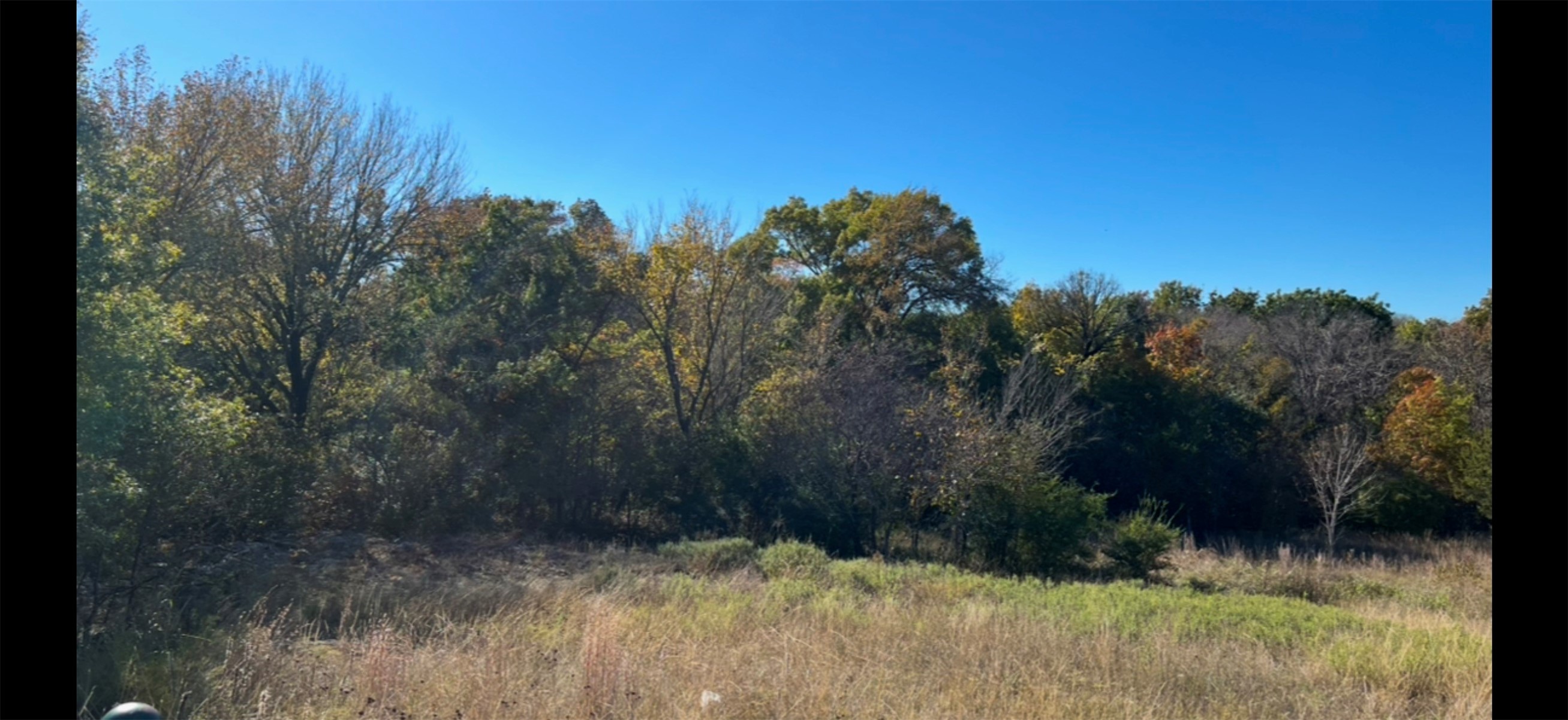 142 Mulligan Lane Azle TX 76020