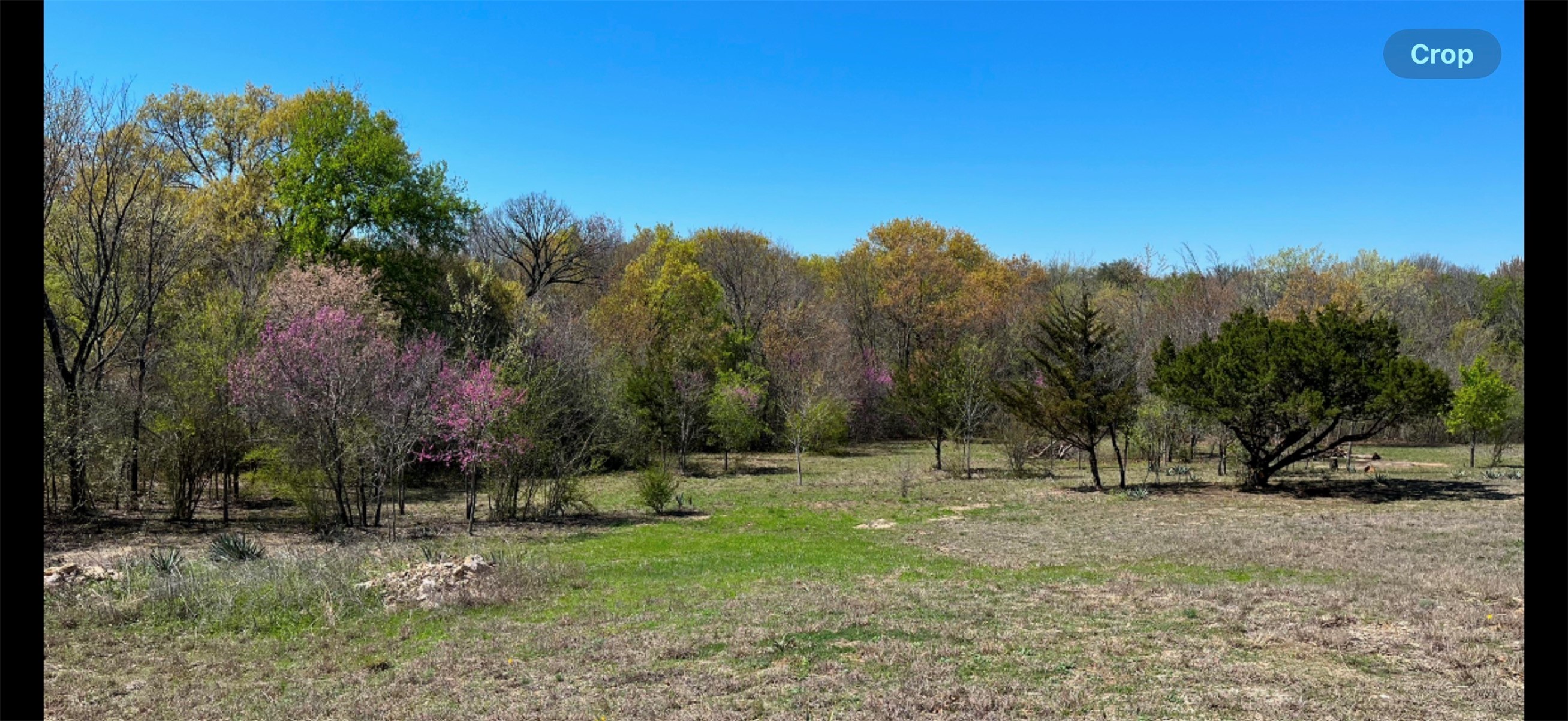 142 Mulligan Lane Azle TX 76020