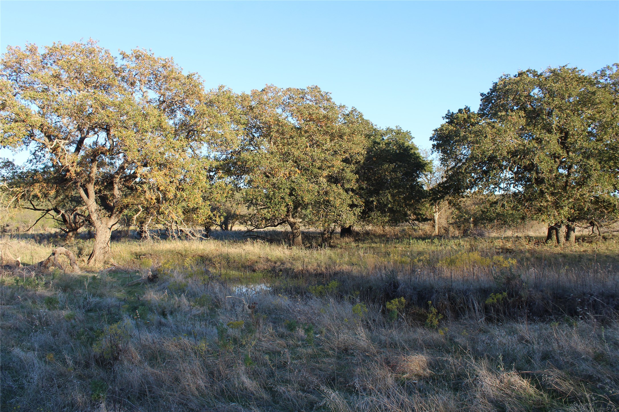 151 Ac Tbd W Highway 114 Jermyn TX 76459