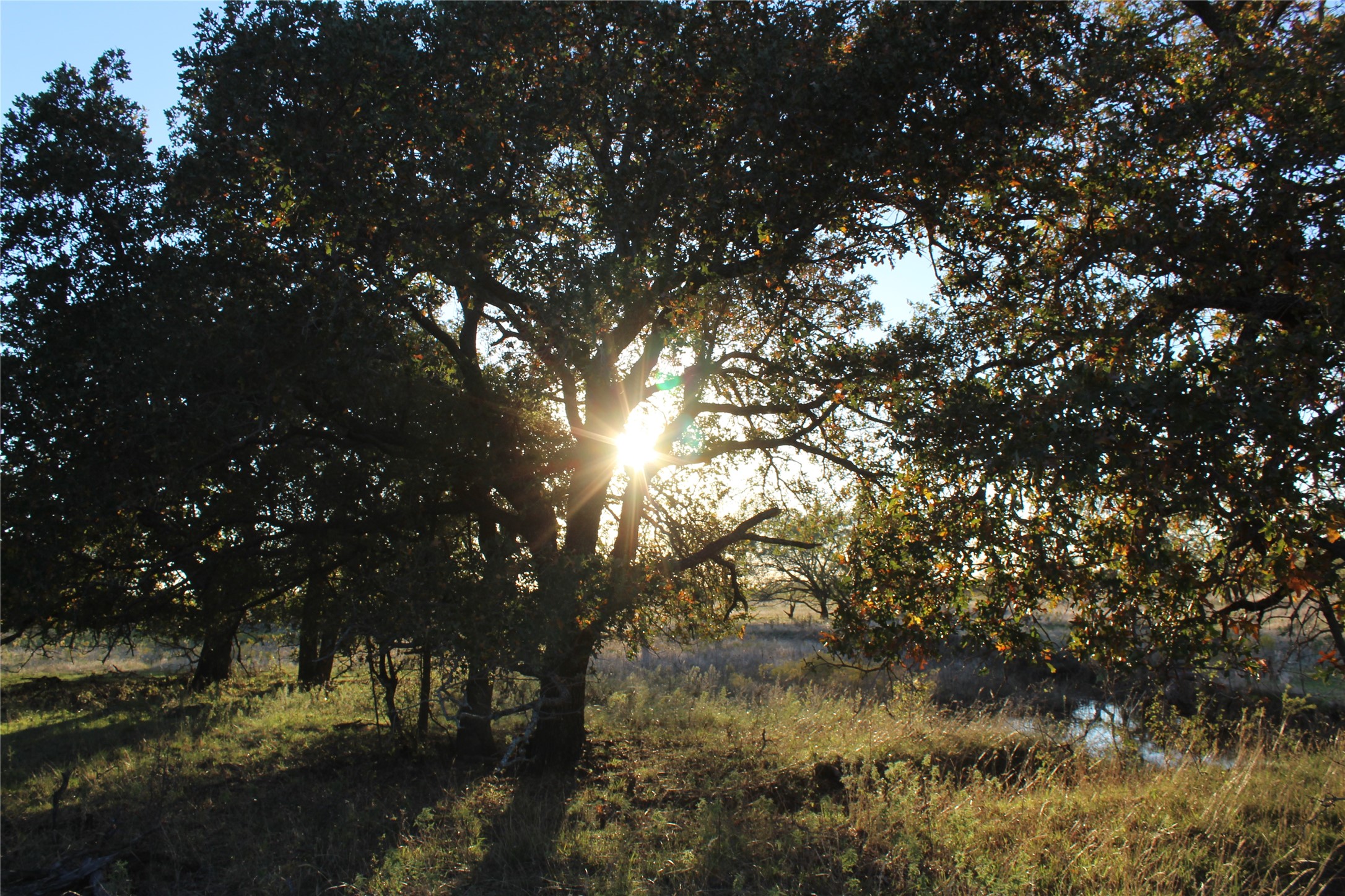151 Ac Tbd W Highway 114 Jermyn TX 76459