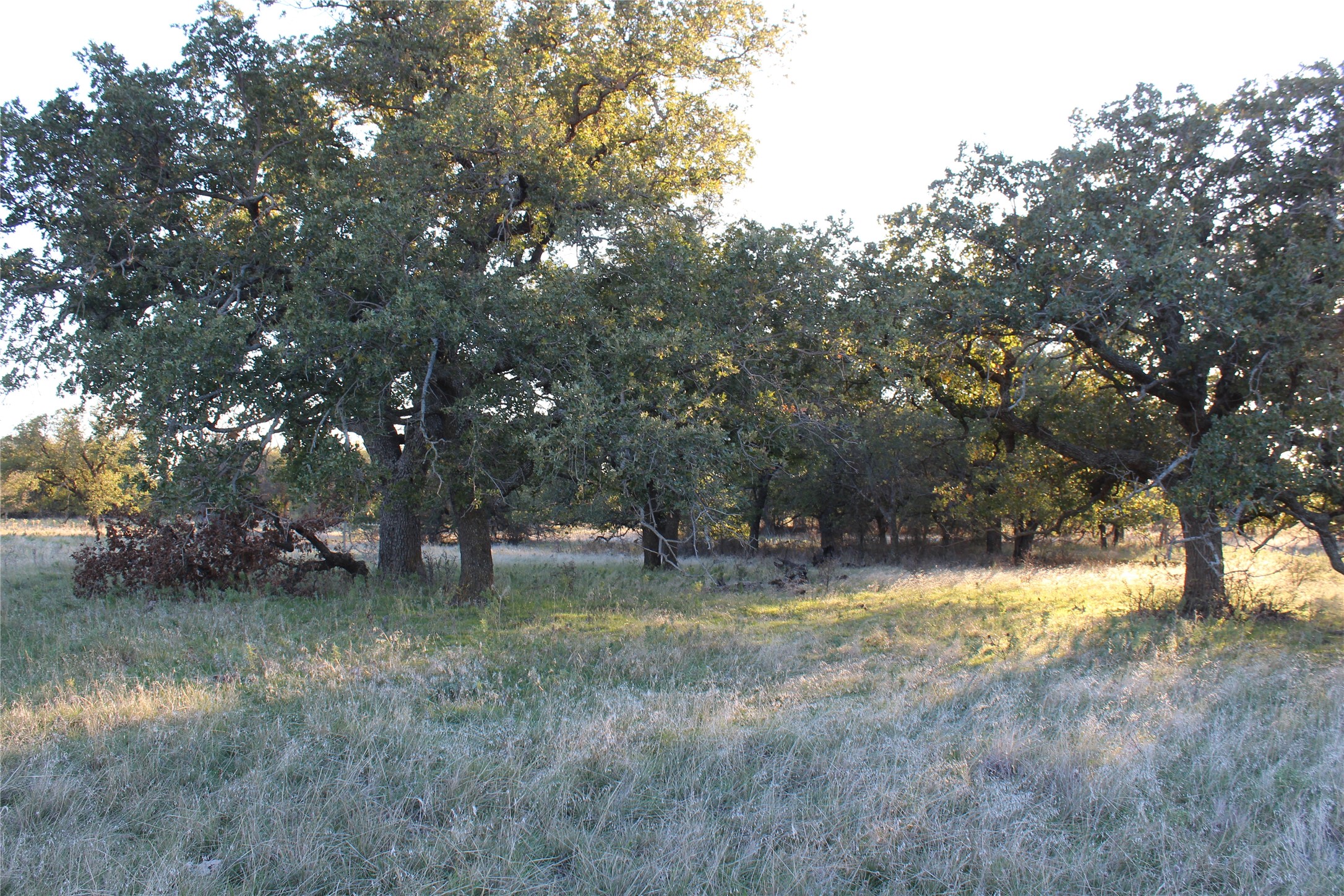 151 Ac Tbd W Highway 114 Jermyn TX 76459