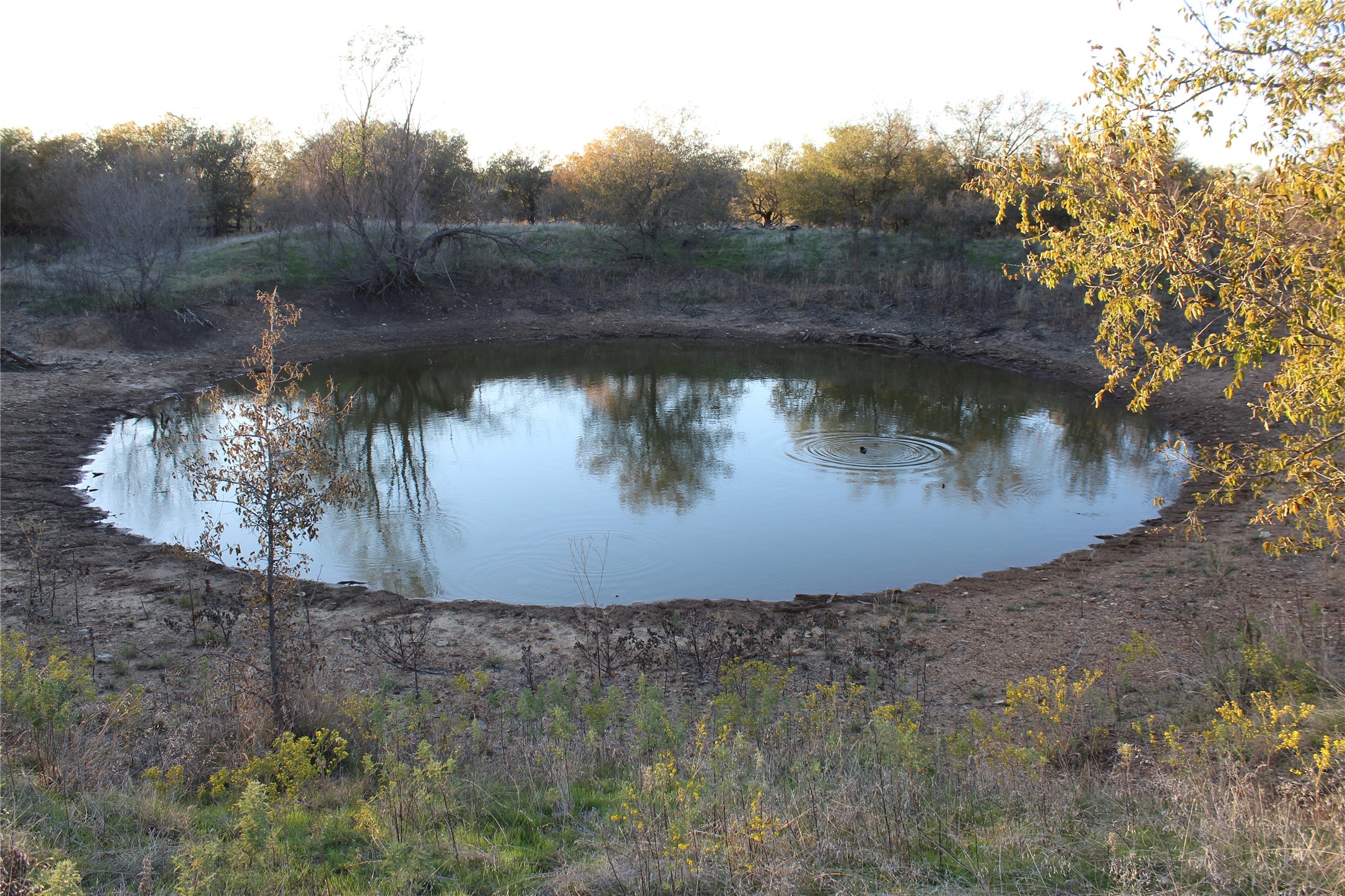 151 Ac Tbd W Highway 114 Jermyn TX 76459