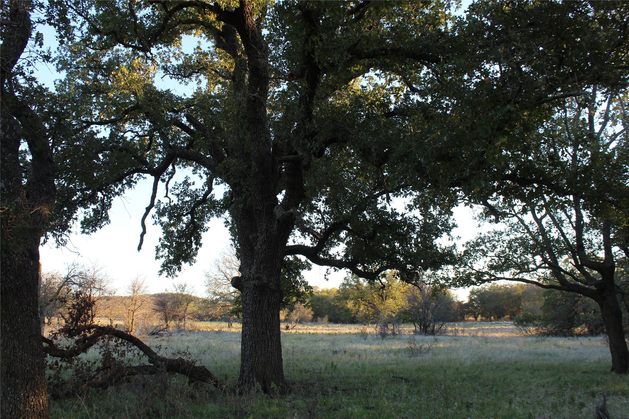 151 Ac Tbd W Highway 114 Jermyn TX 76459