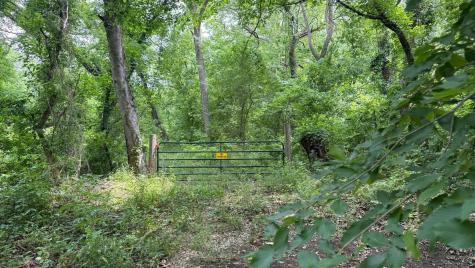 TBD Cr 470 Blue Ridge TX 75071