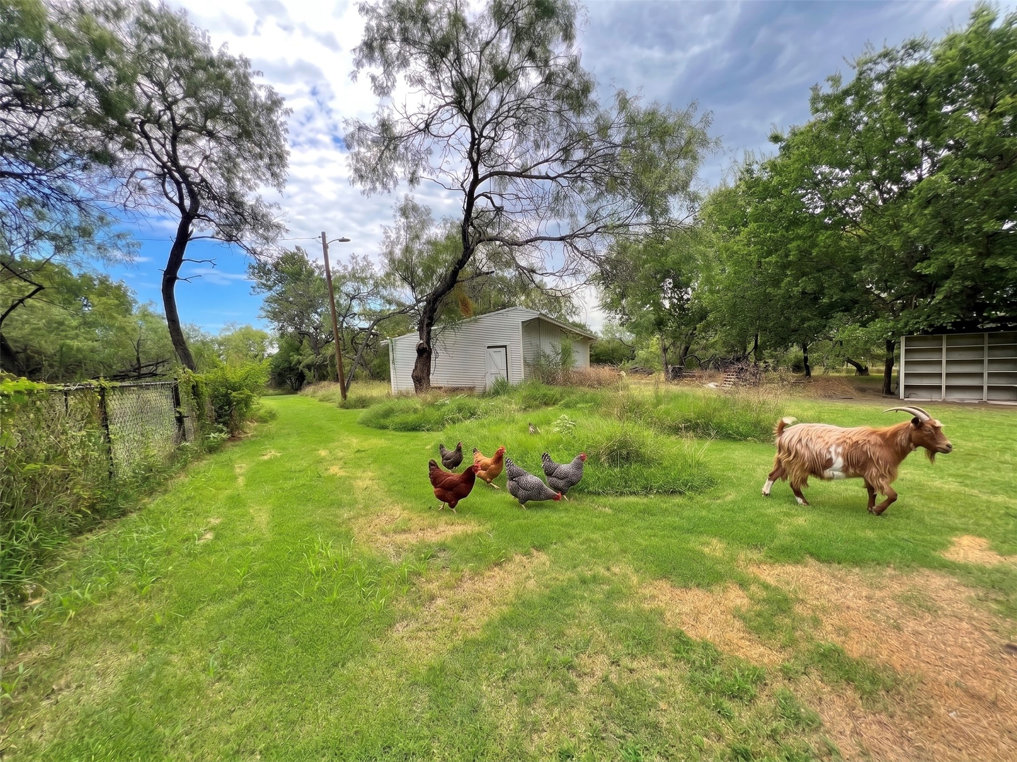 5910 Sh-34 Oak Ridge TX 75142
