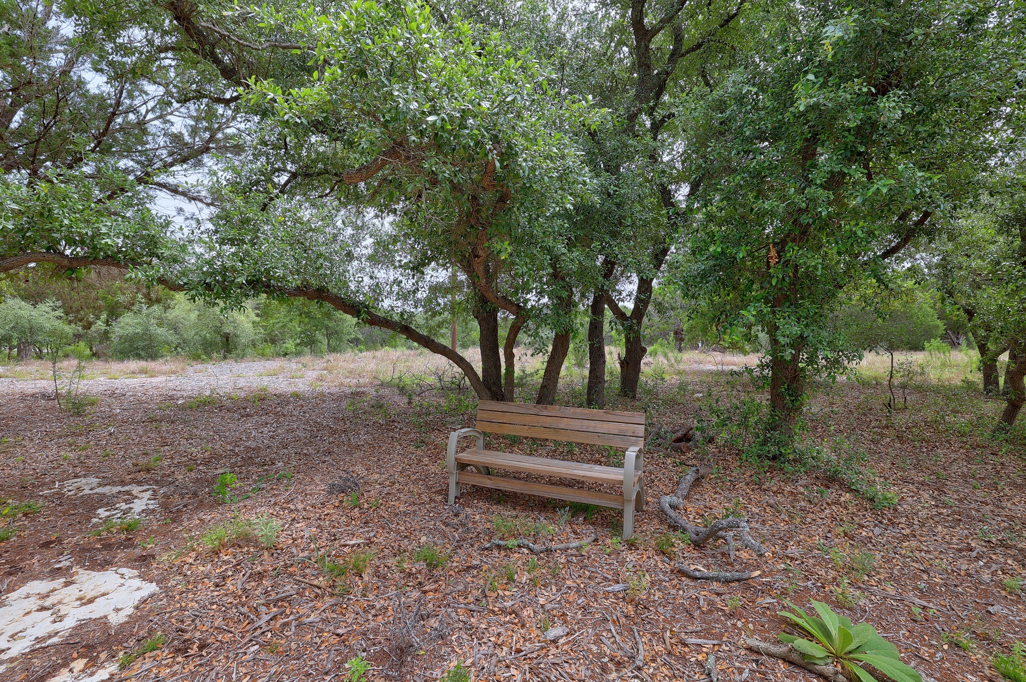 1400 Panther Creek Road Driftwood TX 78619
