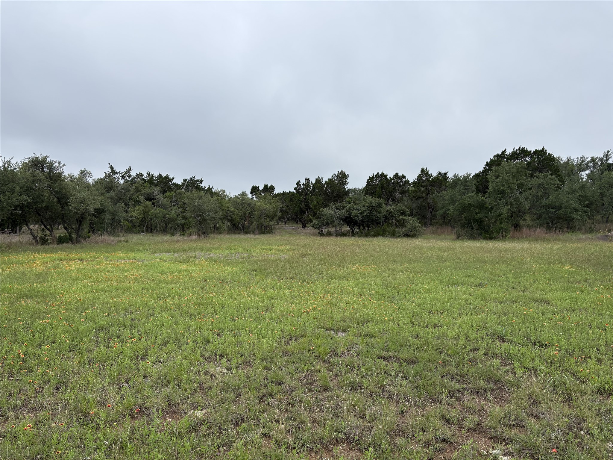 1400 Panther Creek Road Driftwood TX 78619