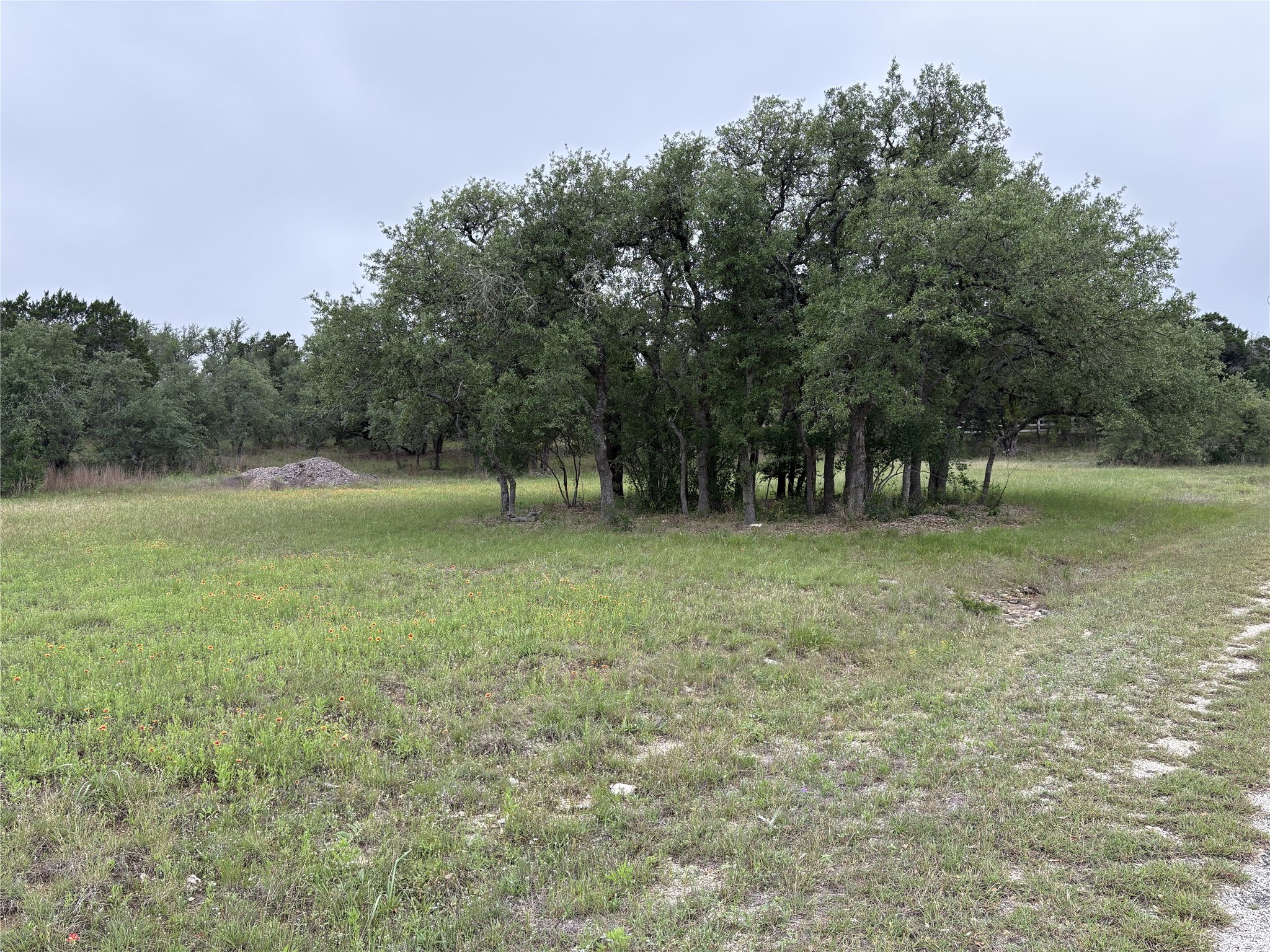 1400 Panther Creek Road Driftwood TX 78619
