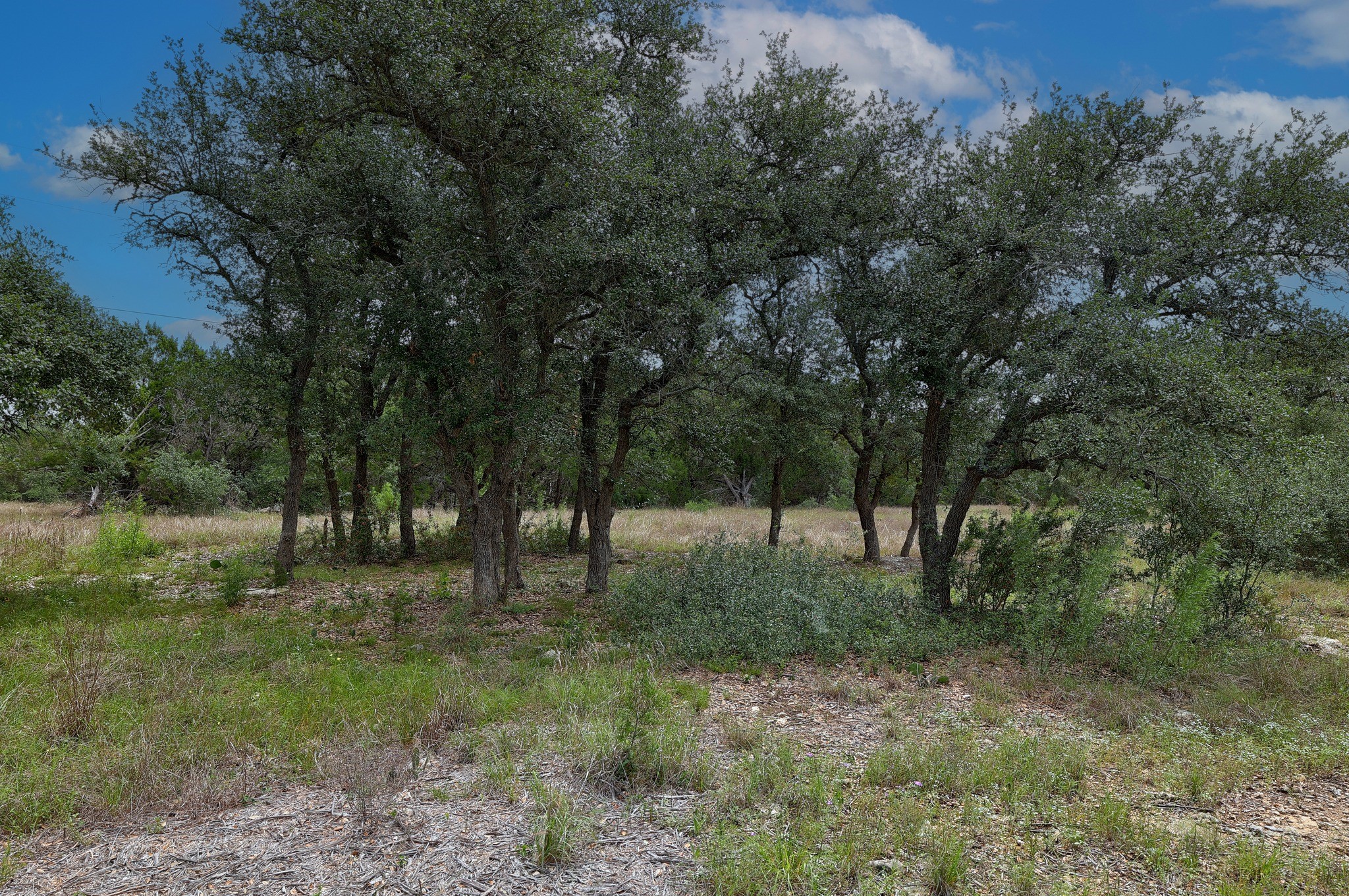 1400 Panther Creek Road Driftwood TX 78619