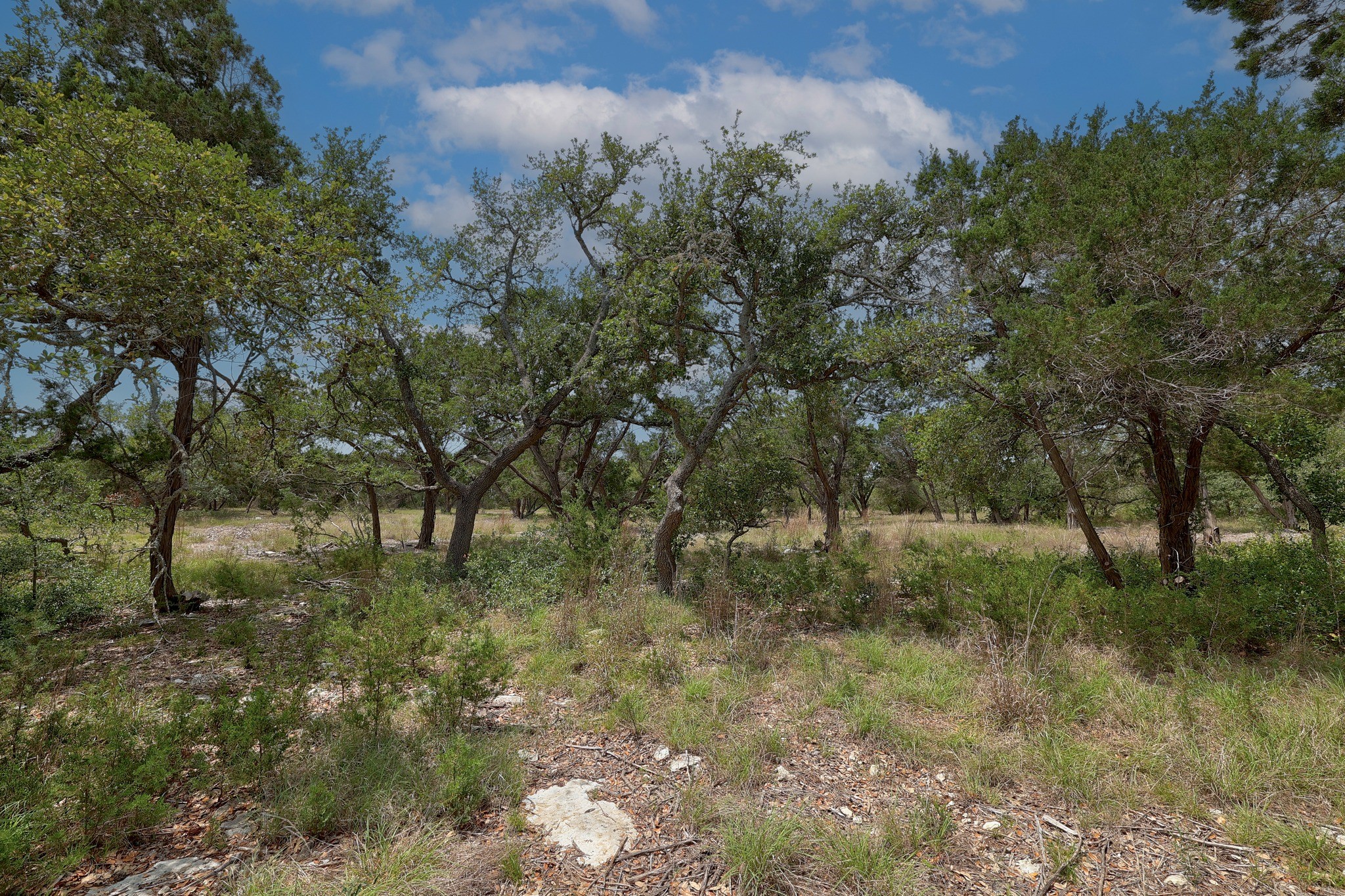 1400 Panther Creek Road Driftwood TX 78619