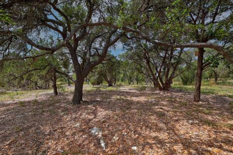 1400 Panther Creek Road Driftwood TX 78619