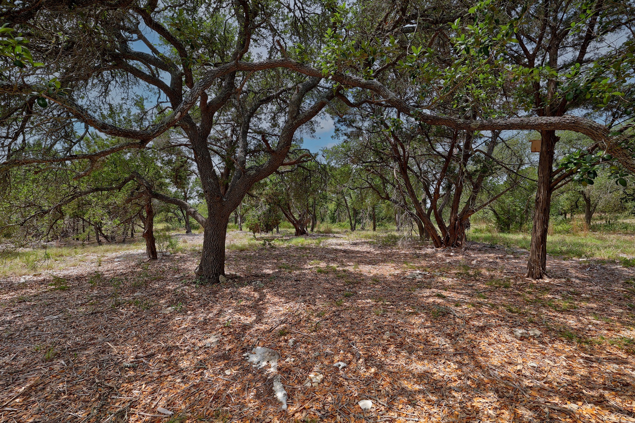 1400 Panther Creek Road Driftwood TX 78619