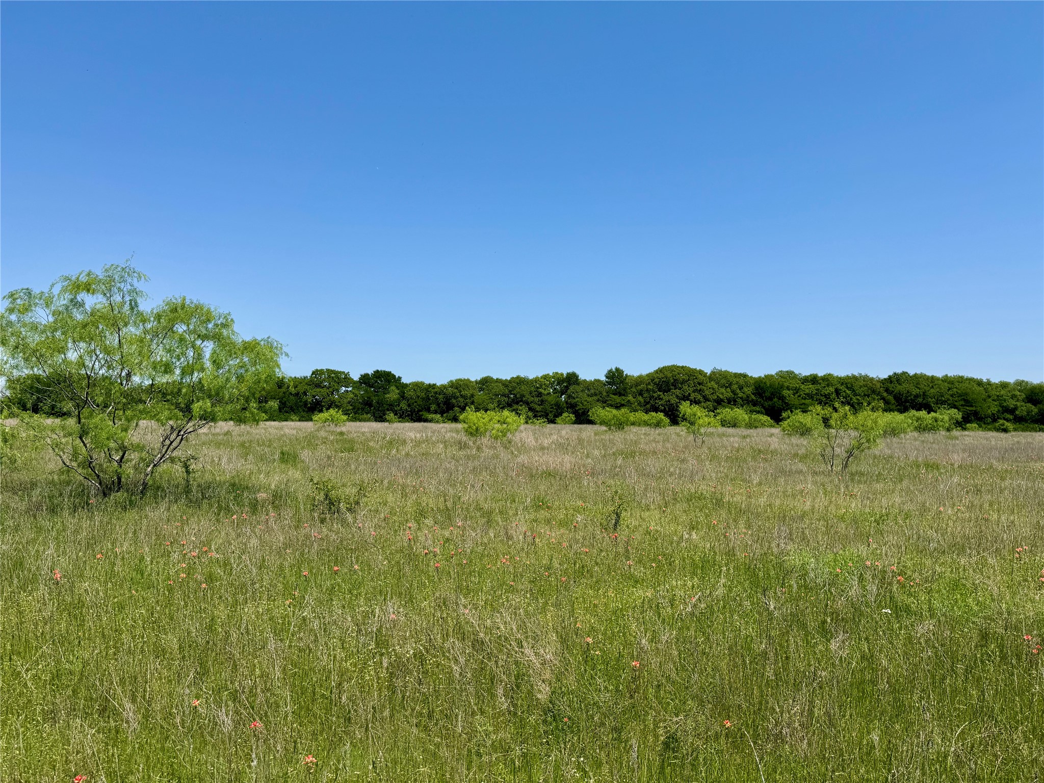 0 Clater Powell Road Gholson TX 76705
