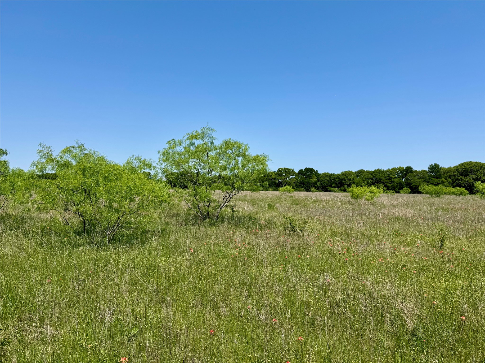 0 Clater Powell Road Gholson TX 76705