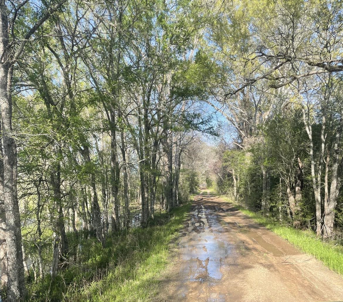 Tbd Fm 542 Road Oakwood TX 75855