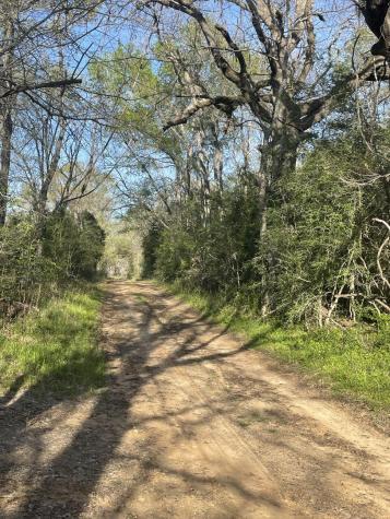 Tbd Fm 542 Road Oakwood TX 75855