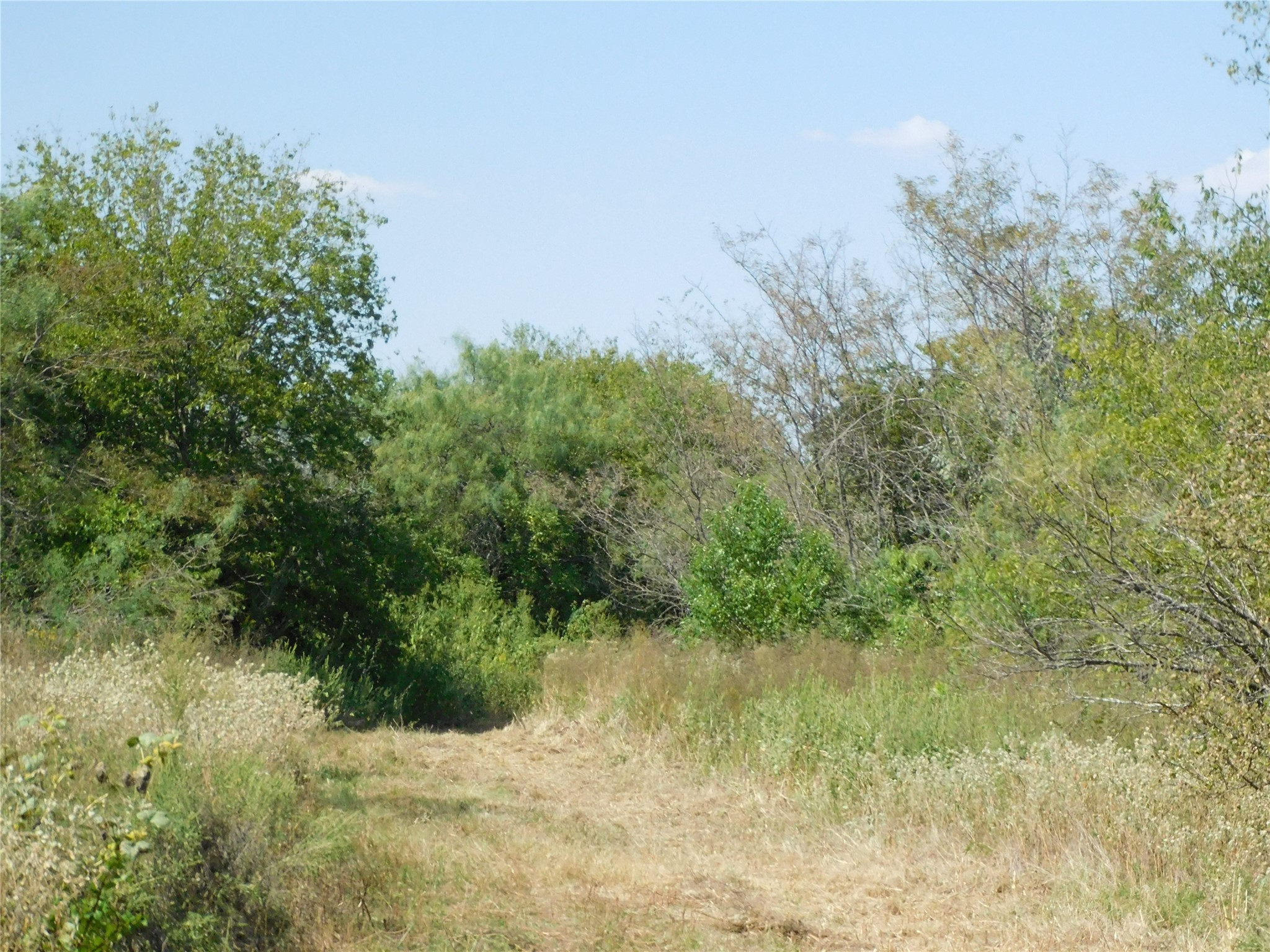 451 Hcr3335 Road Hubbard TX 76648